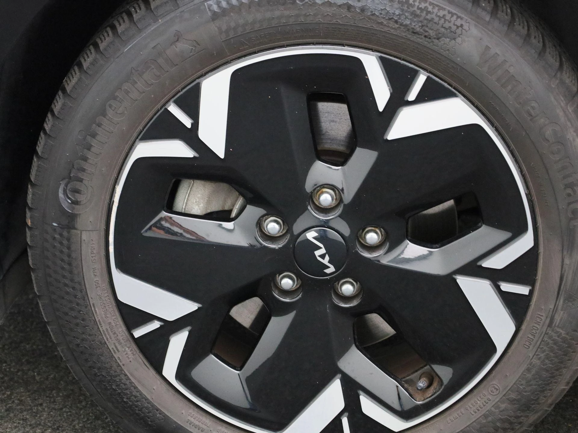 Kia-Niro EV-image-12