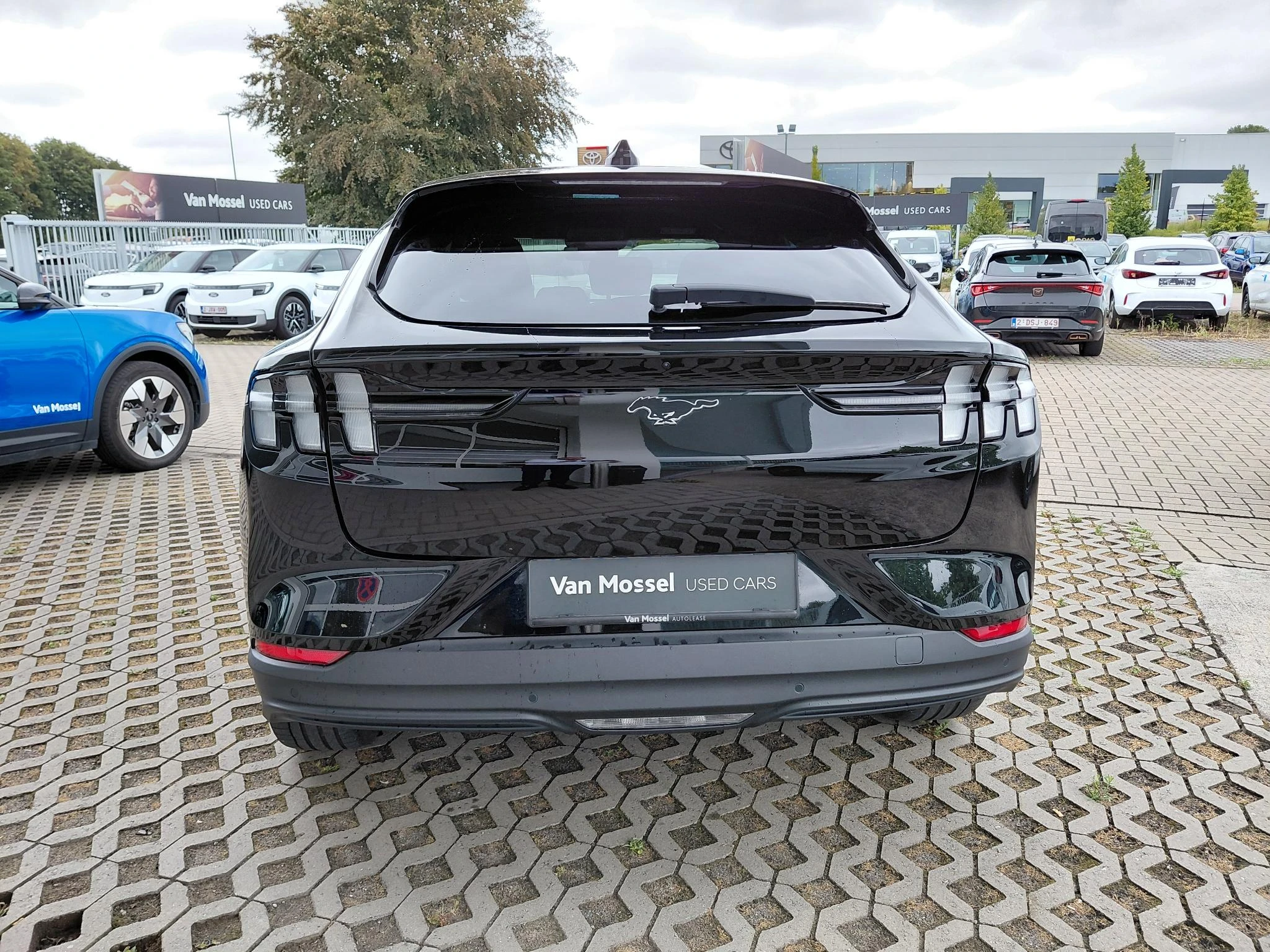 Ford-Mustang Mach-E-image-3