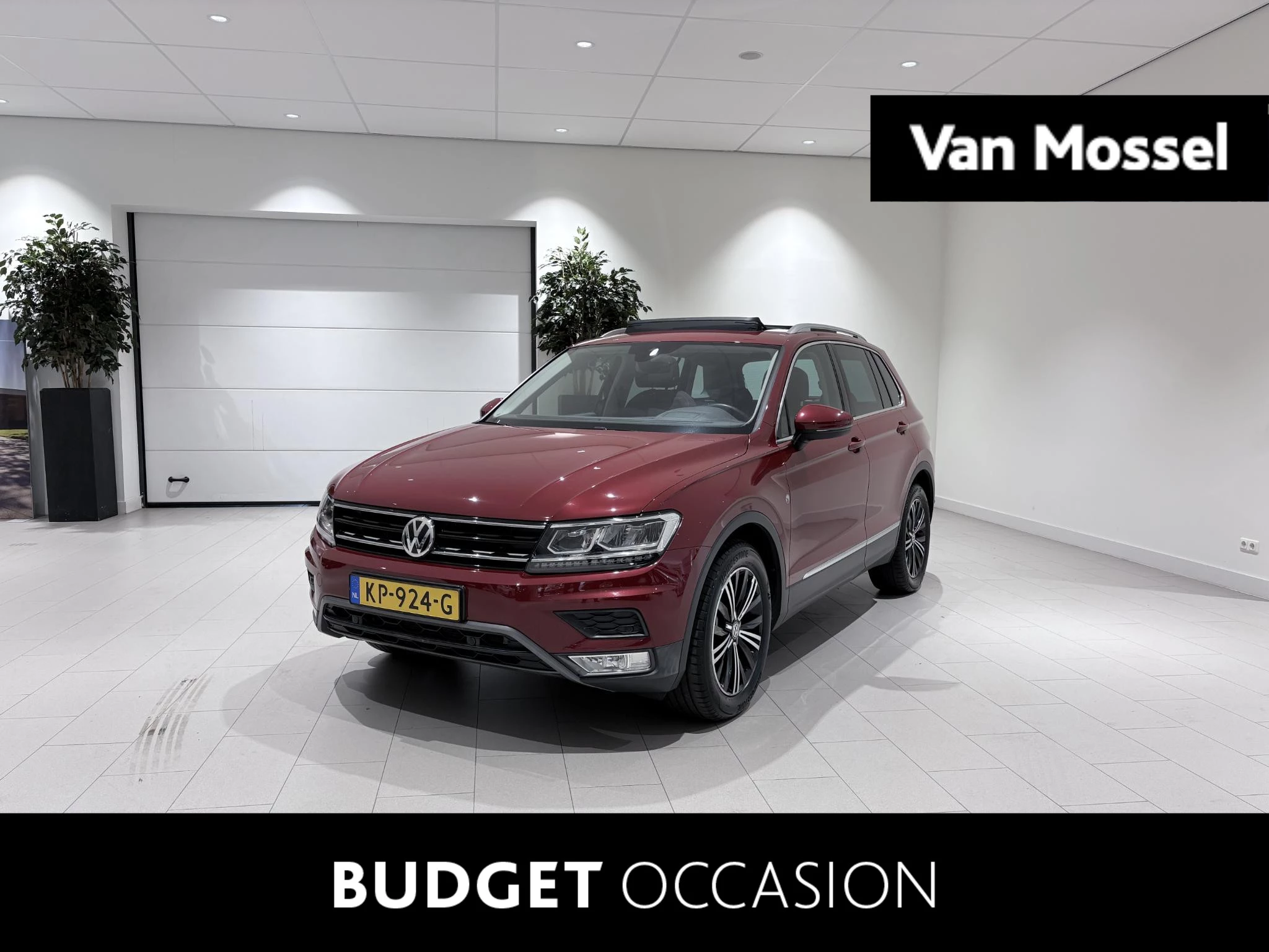 Volkswagen-Tiguan-image-0