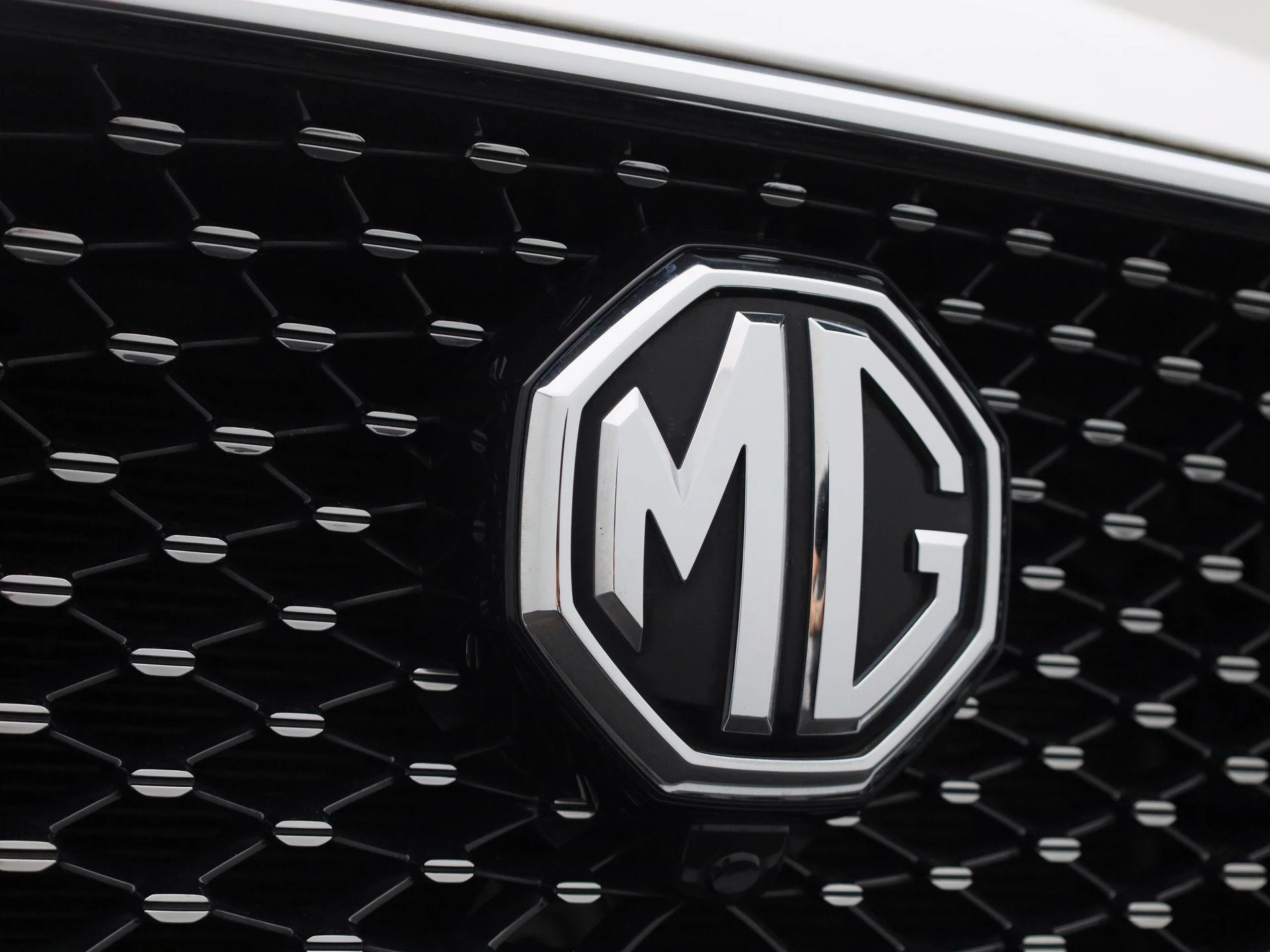 MG-EHS-image-35