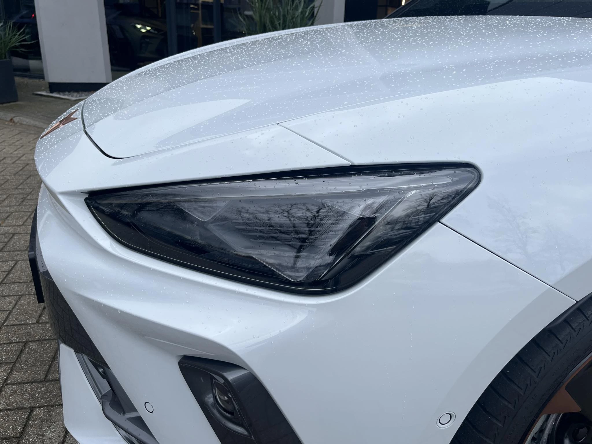 Cupra León