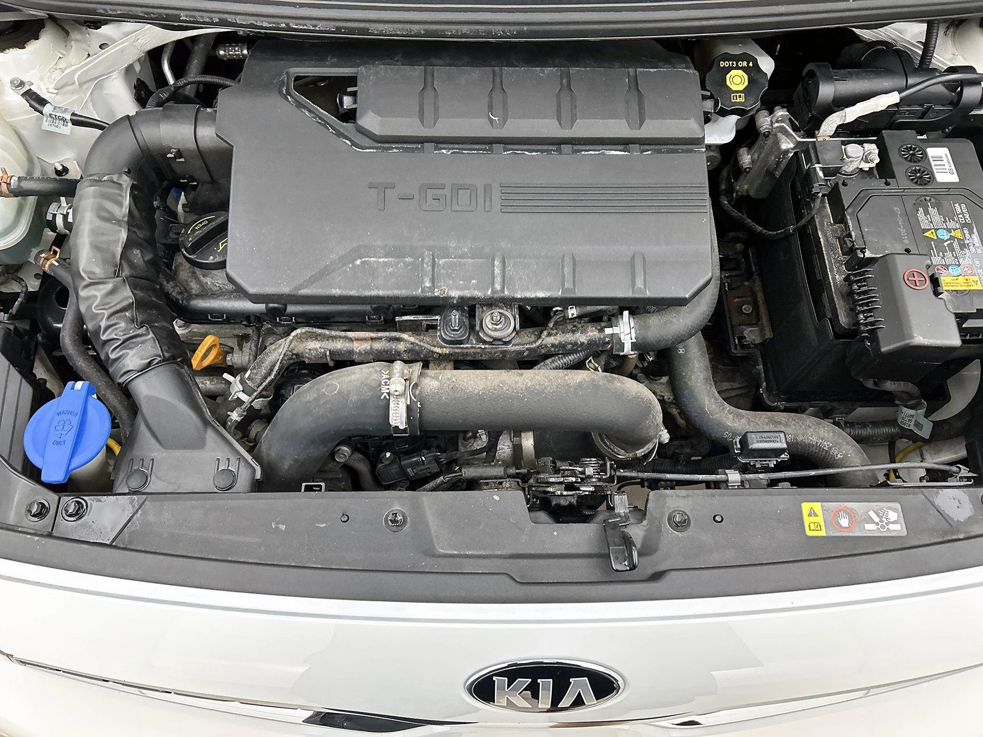 Kia-Picanto-image-30