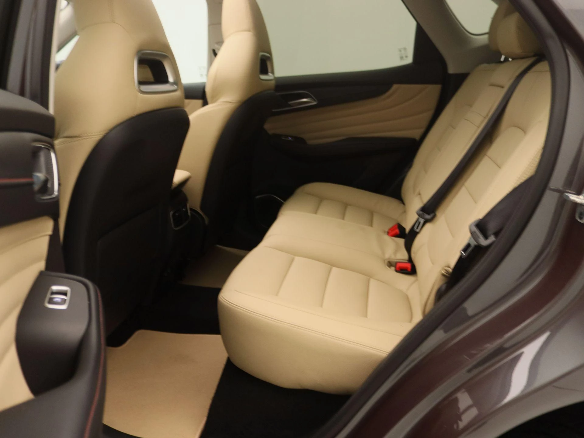 MG-EHS-image-13