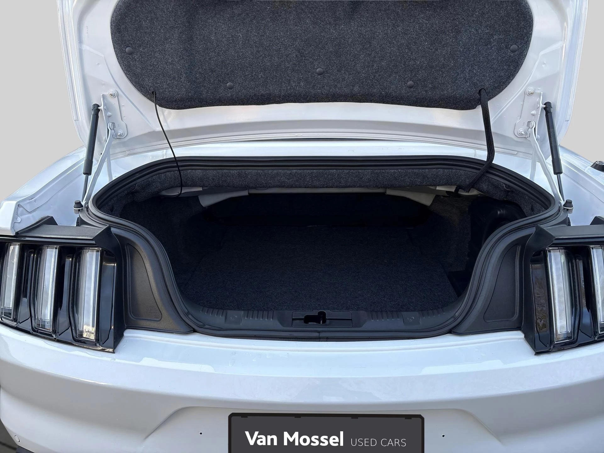 Ford Mustang 2.3i EcoBoost Cabriolet | Black Package | B&O