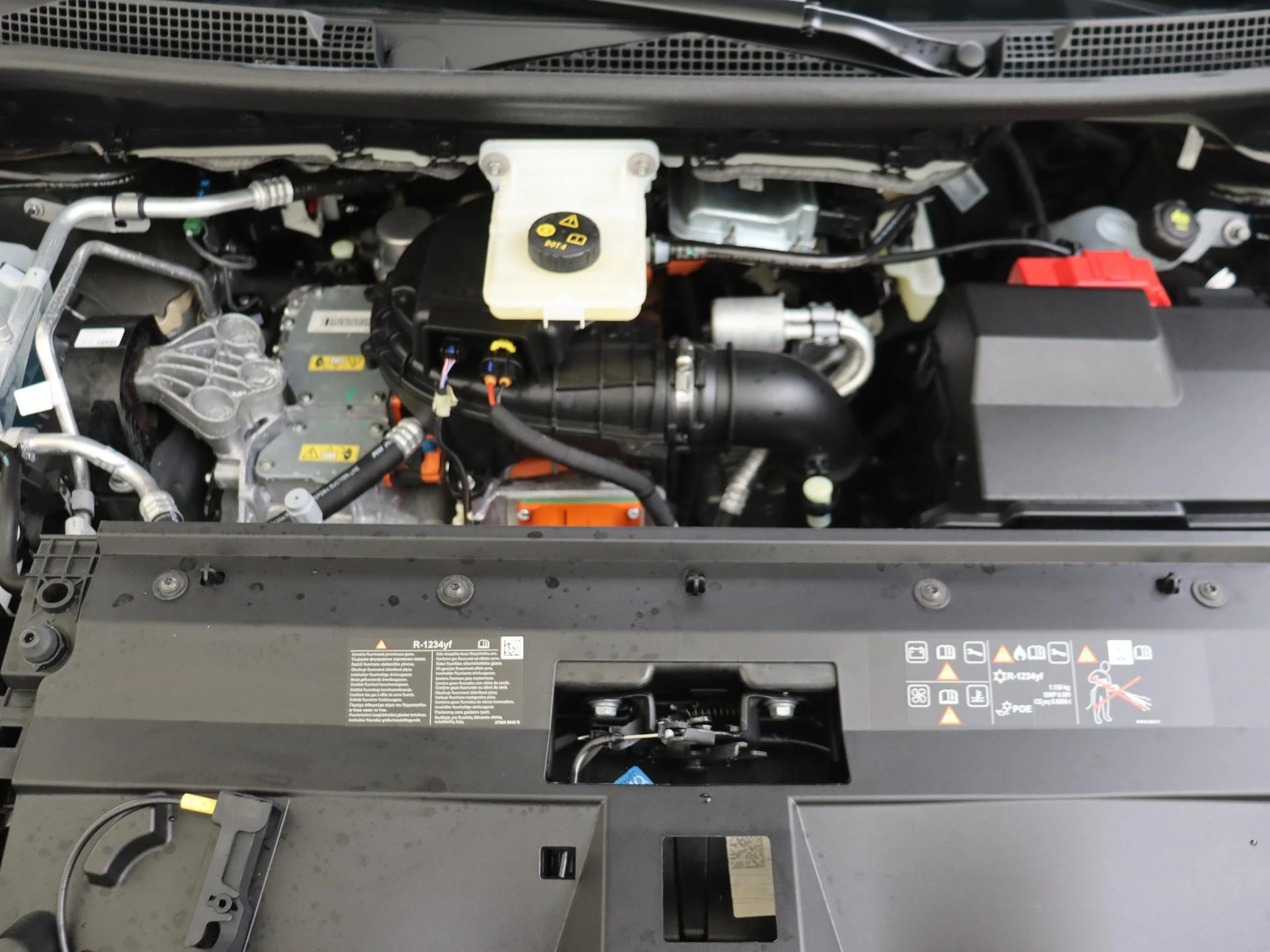 Renault-Kangoo-image-20