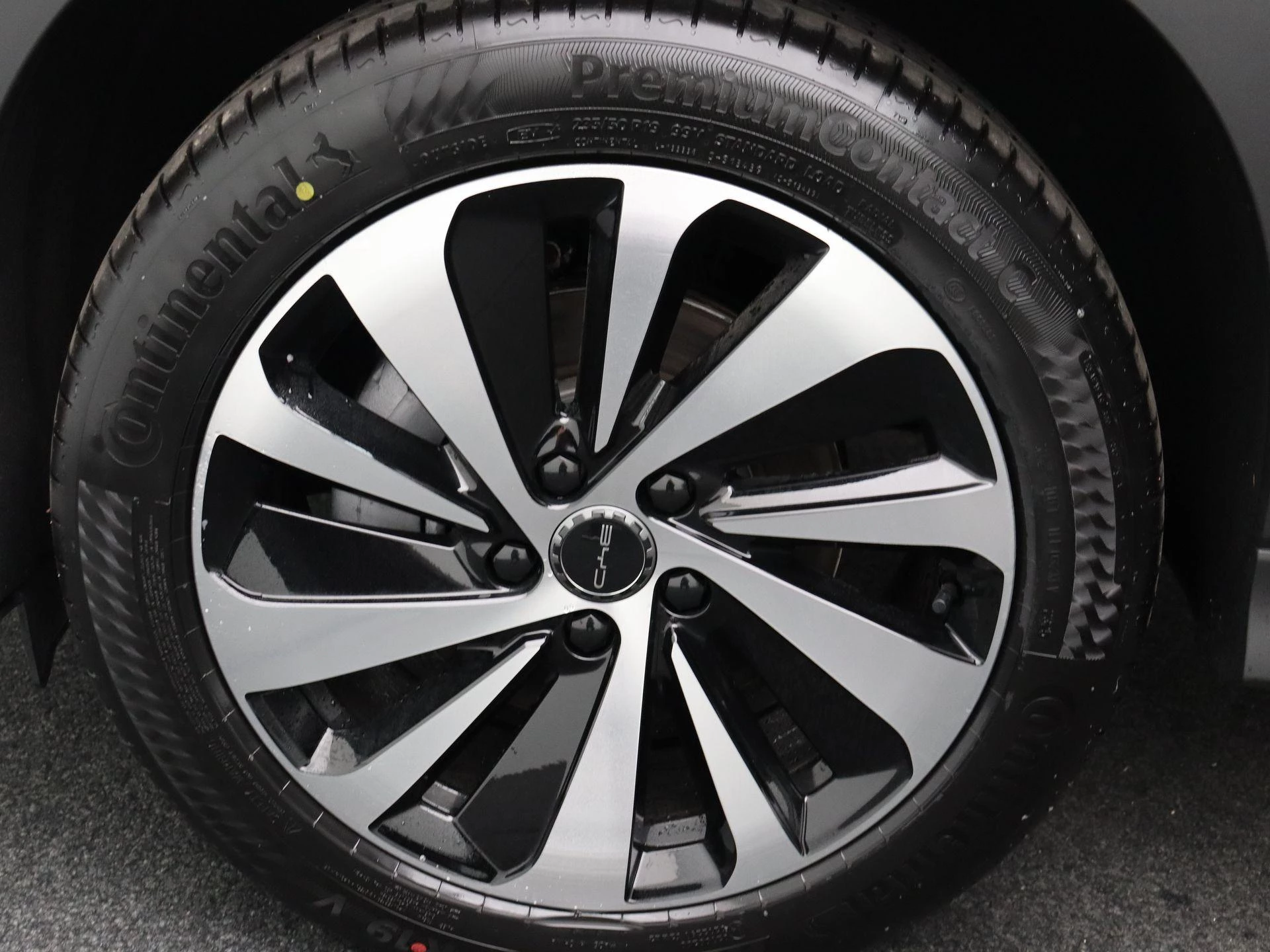 BYD-SEAL U-image-6