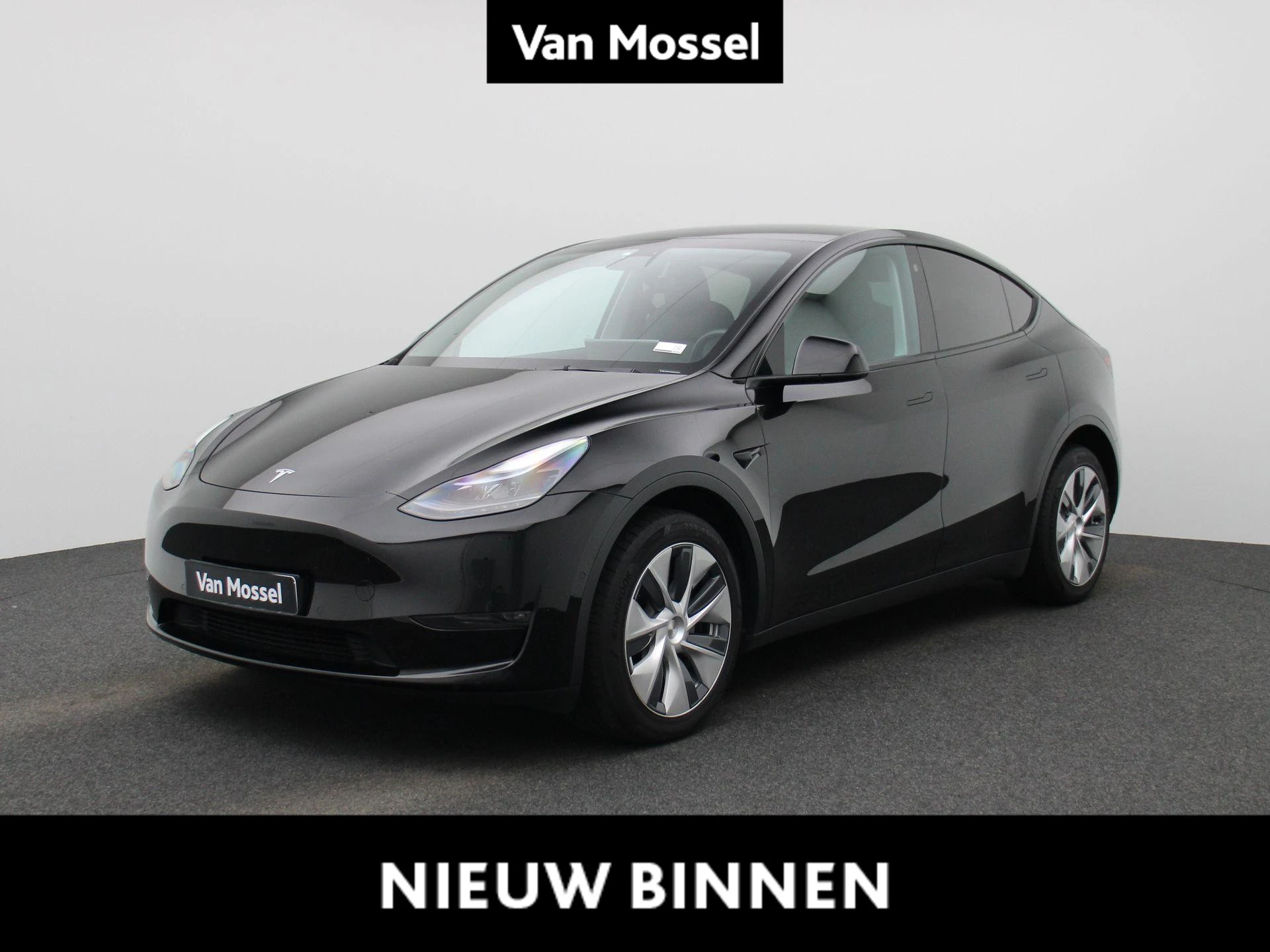 Tesla-Model Y-image-0