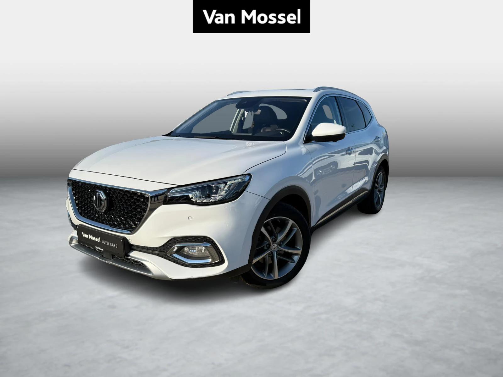 MG-EHS-image-0