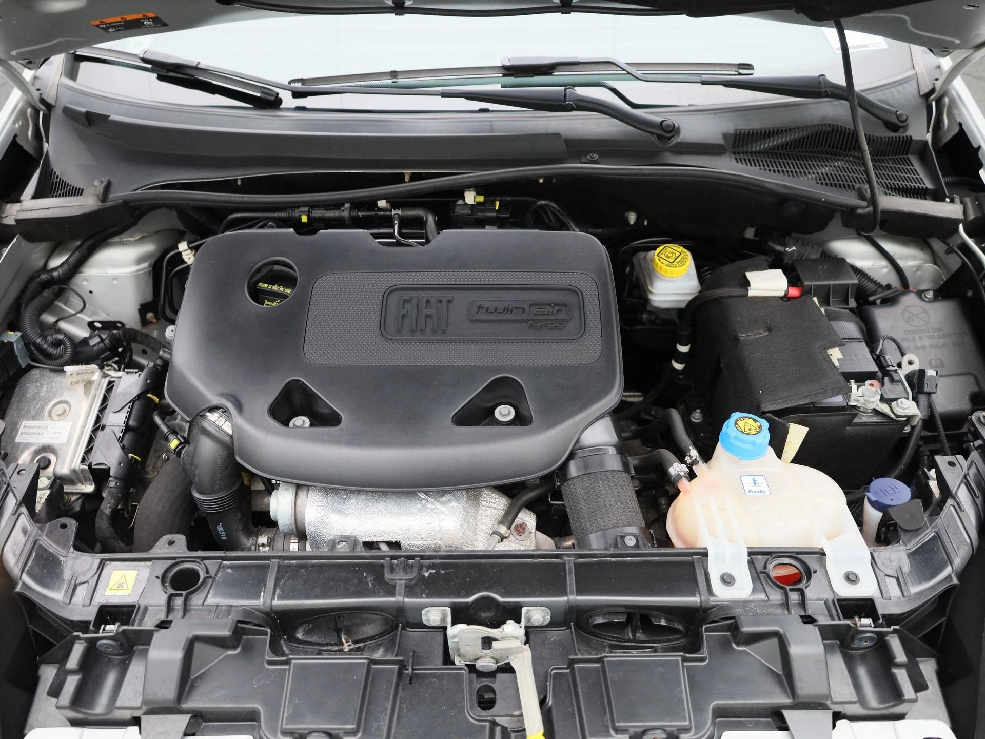 Fiat-Punto-image-32