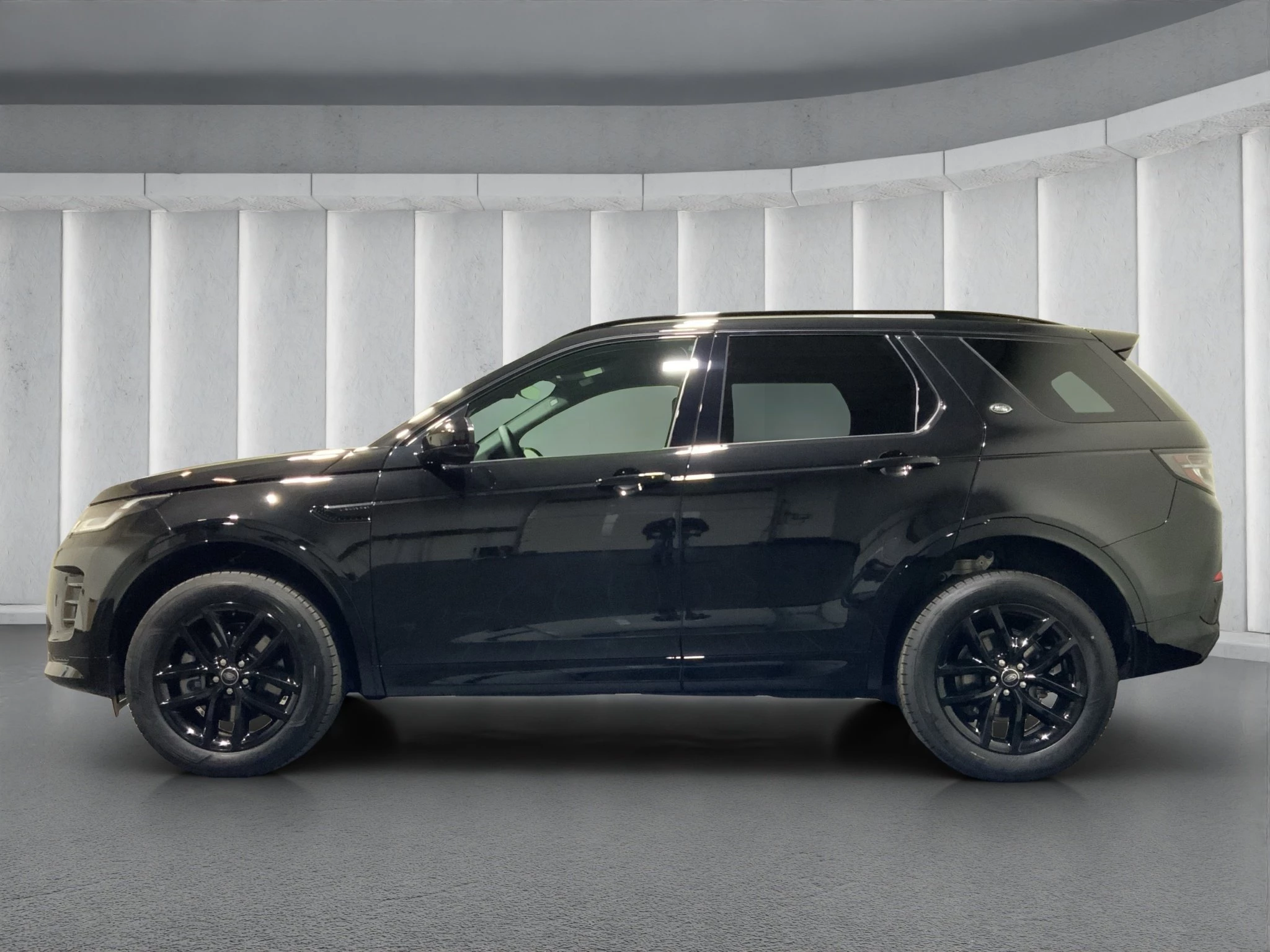 Land Rover Discovery Sport D165 Dynamic S 19 | Winter-Paket | Meridian