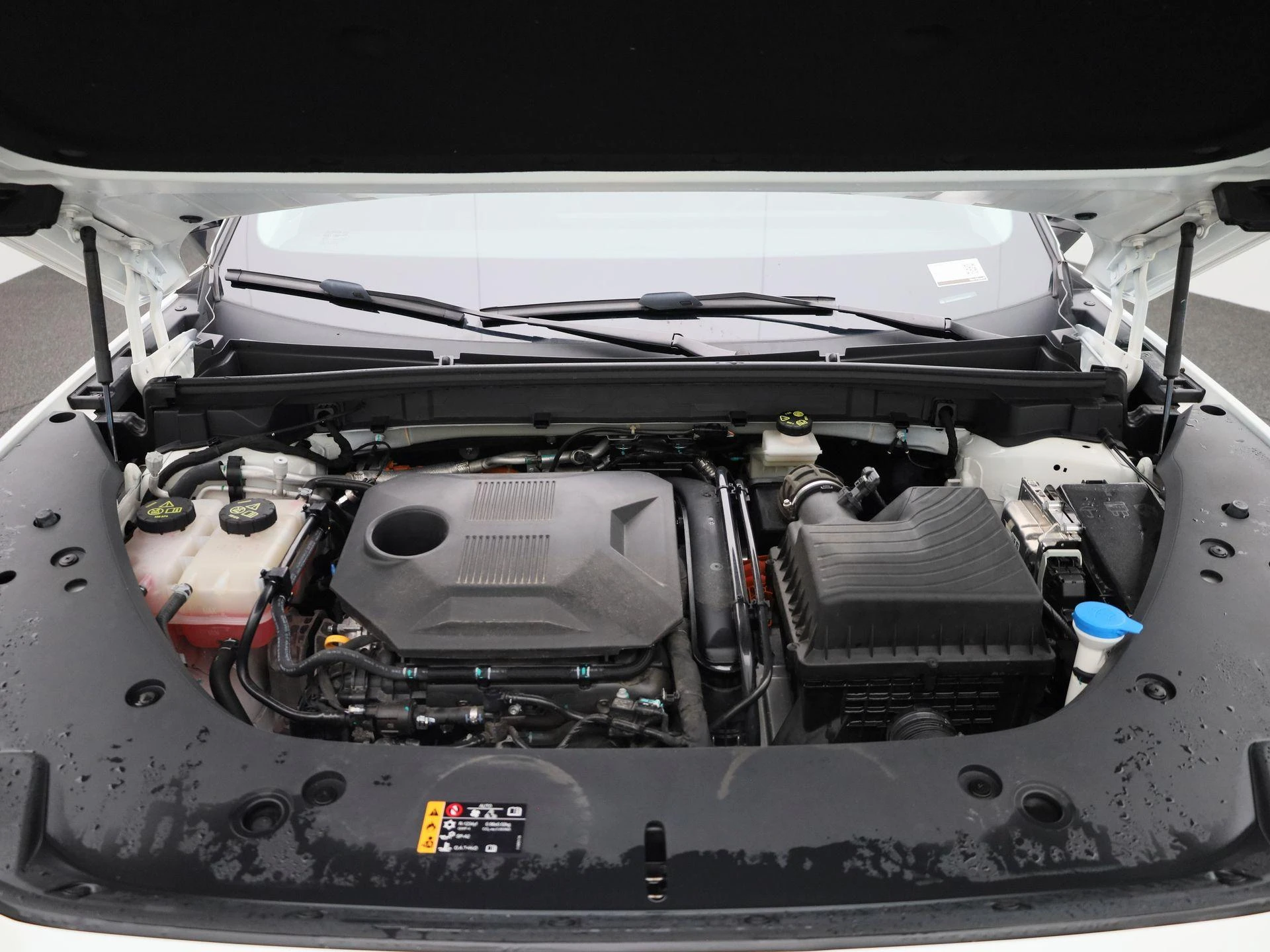MG-HS-image-34