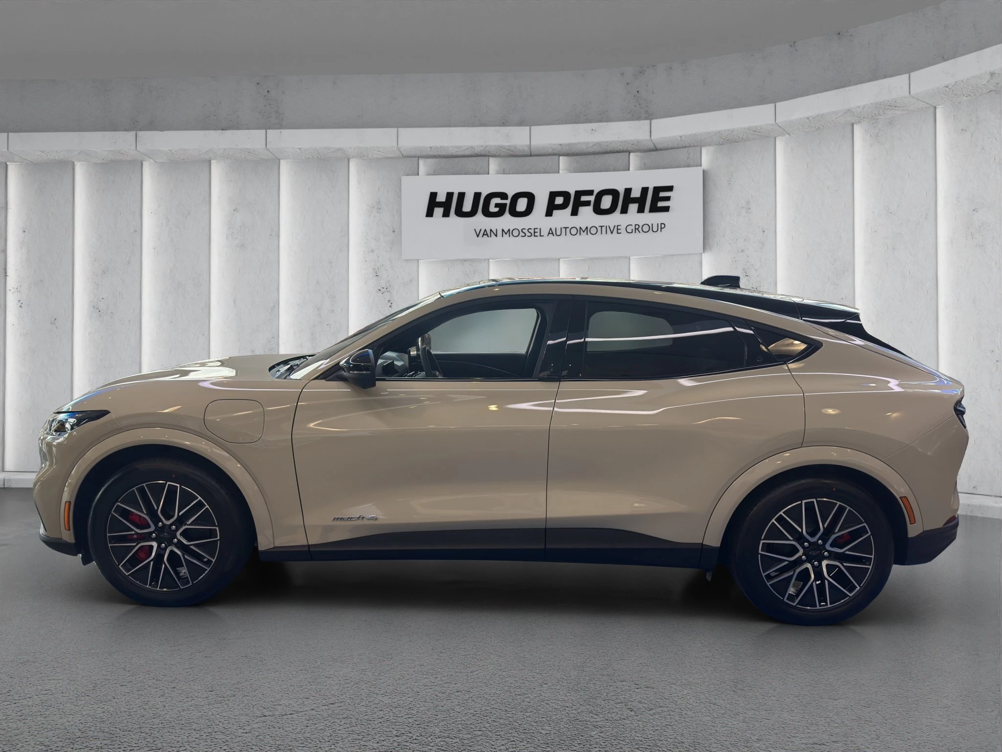 Ford-Mustang Mach-E-image-0