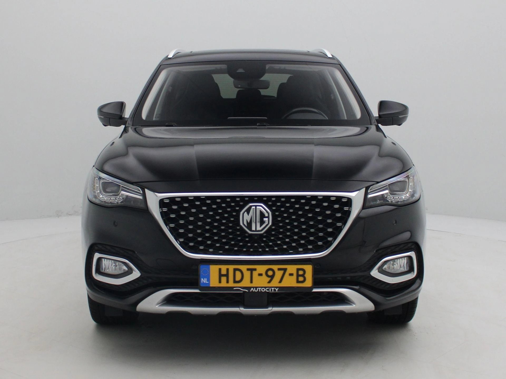 MG-EHS-image-3