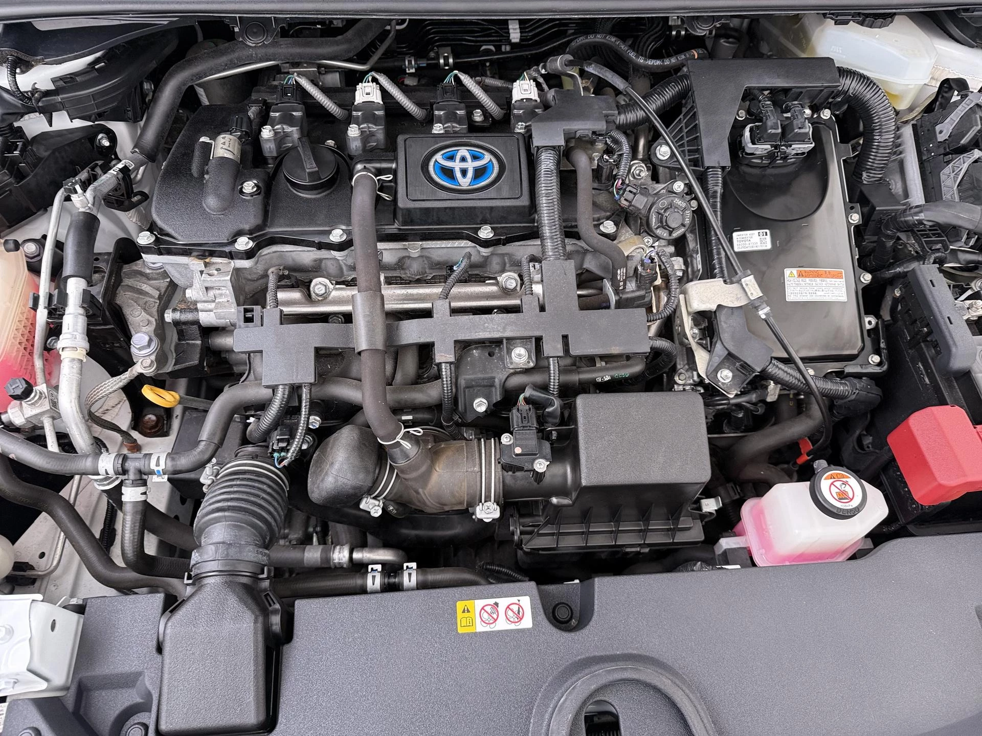 Toyota-Corolla Touring Sports-image-26