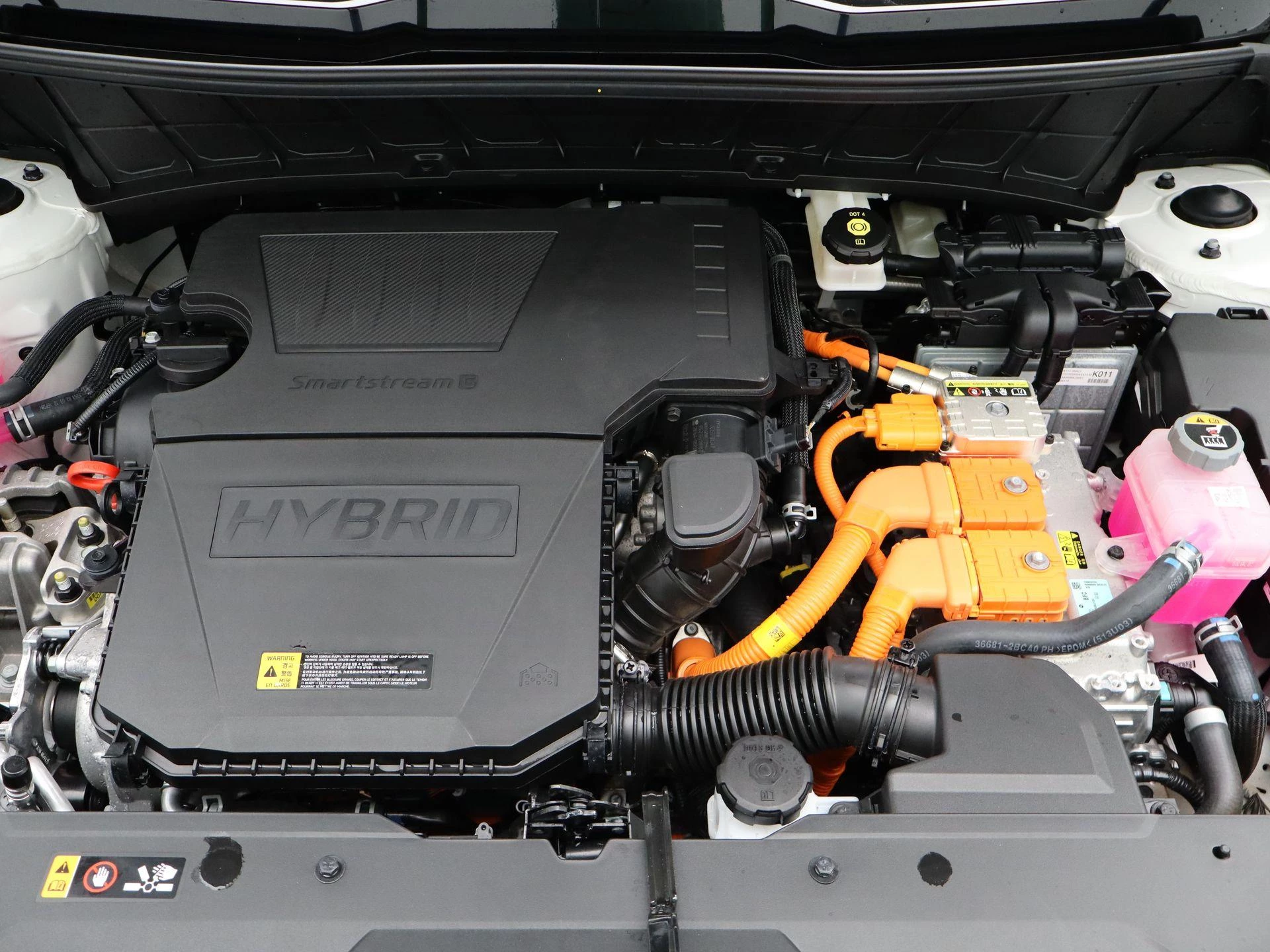 Kia-Niro-image-32