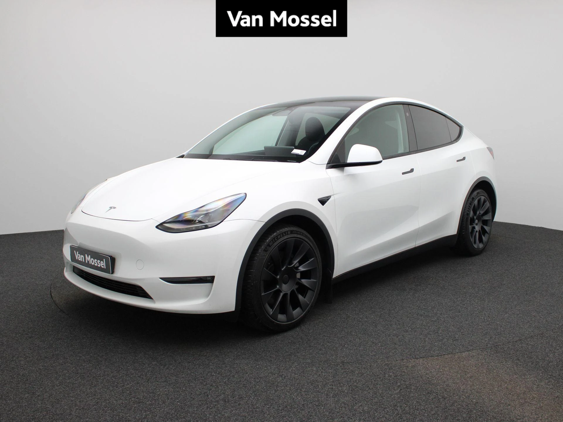 Tesla-Model Y-image-0