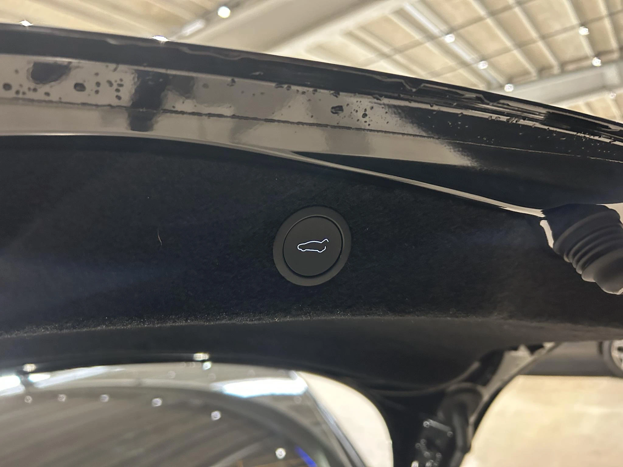 Tesla-Model 3-image-9