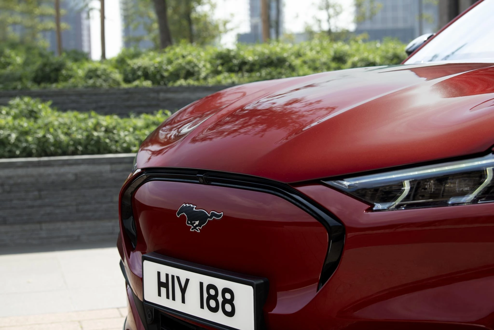 Ford-Mustang Mach-E-image-7