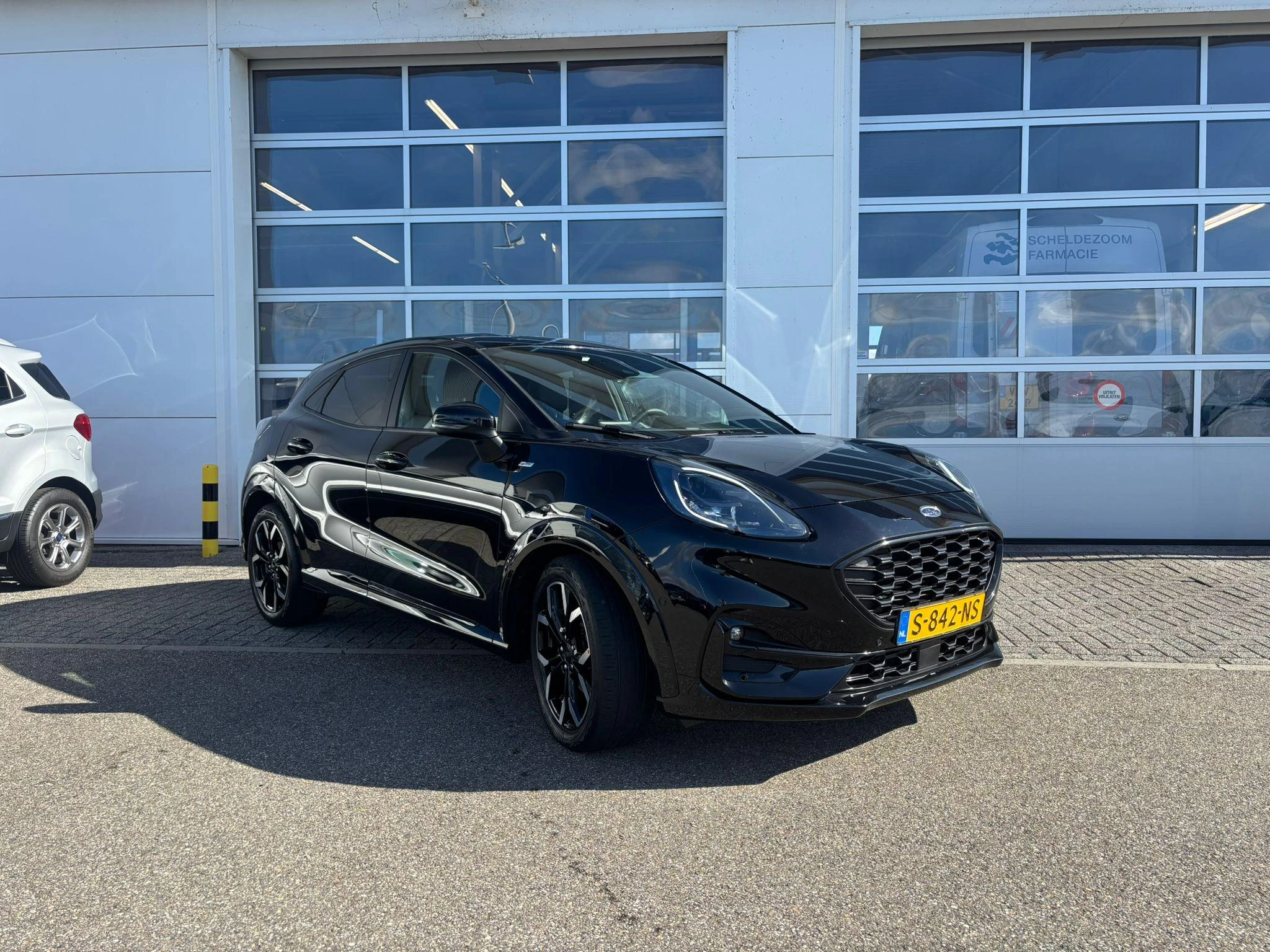 Ford-Puma-image-3