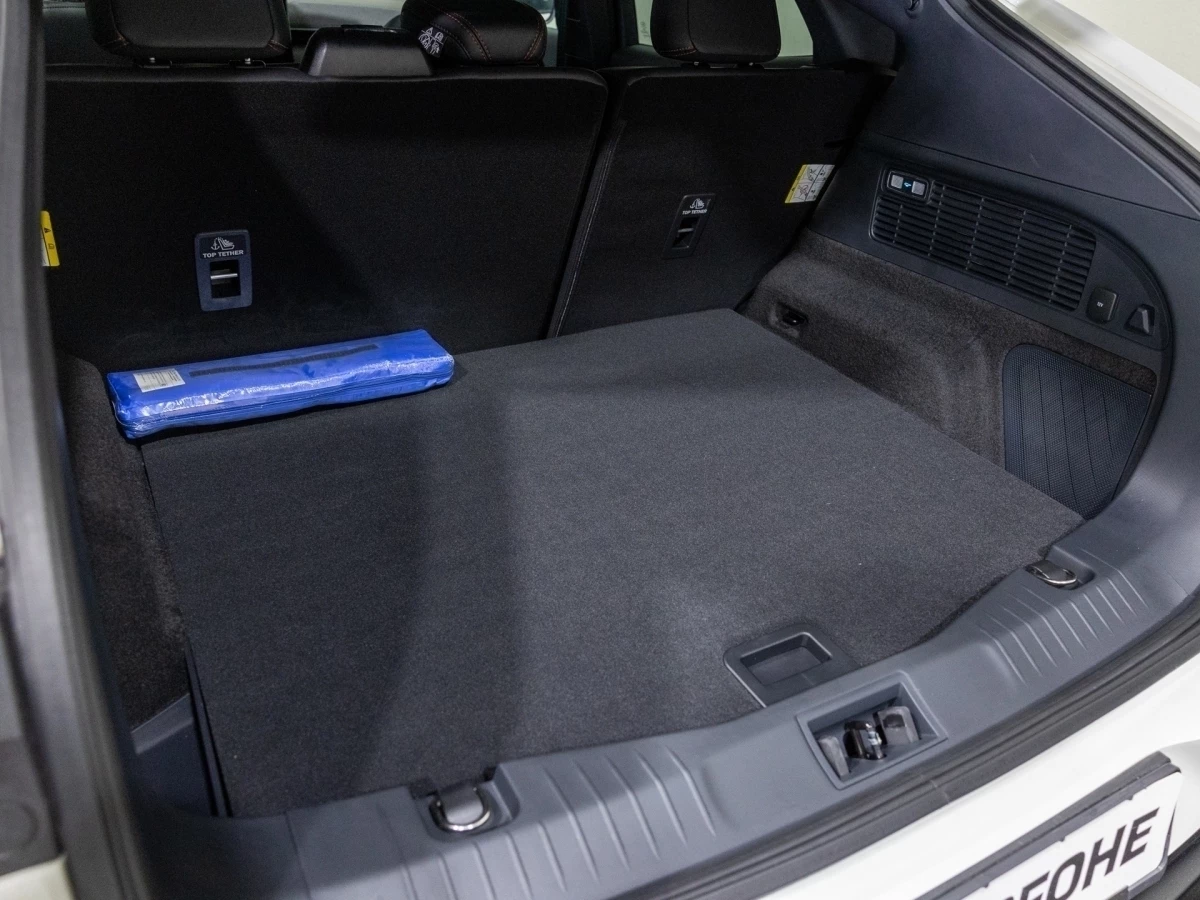 Ford-Mustang Mach-E-image-3