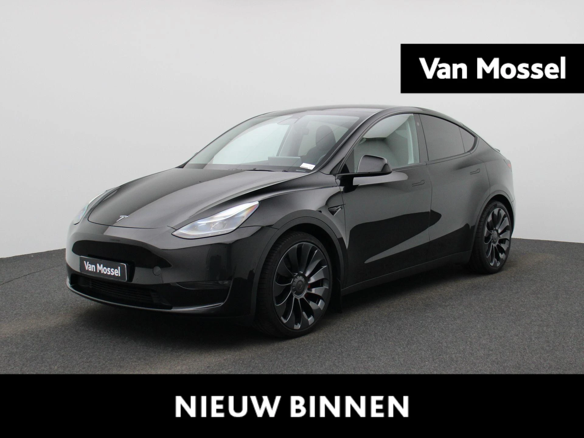 Tesla-Model Y-image-0
