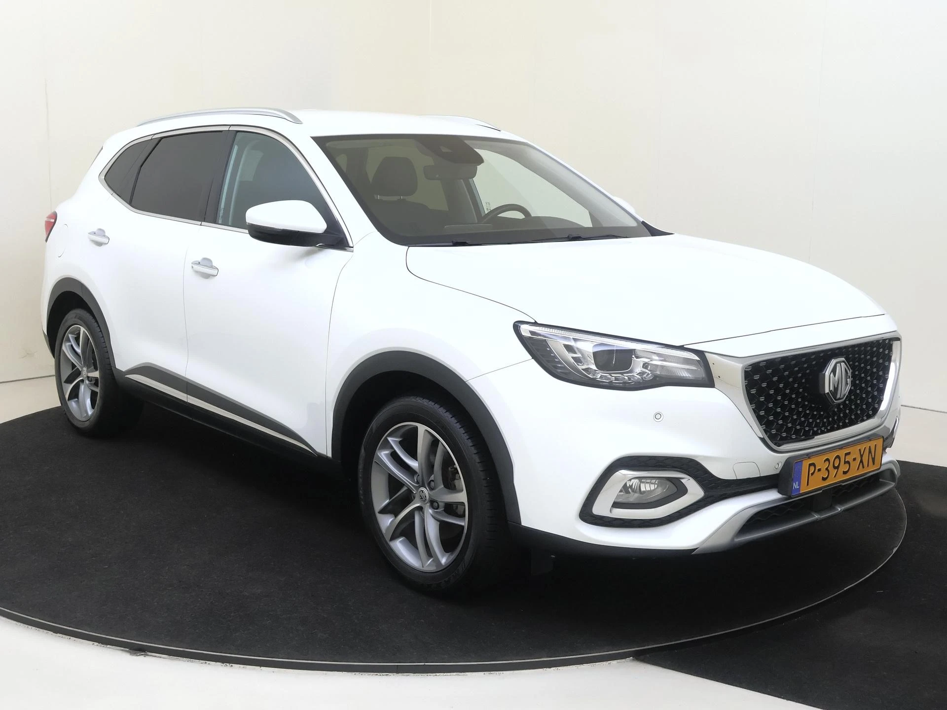 MG-EHS-image-1