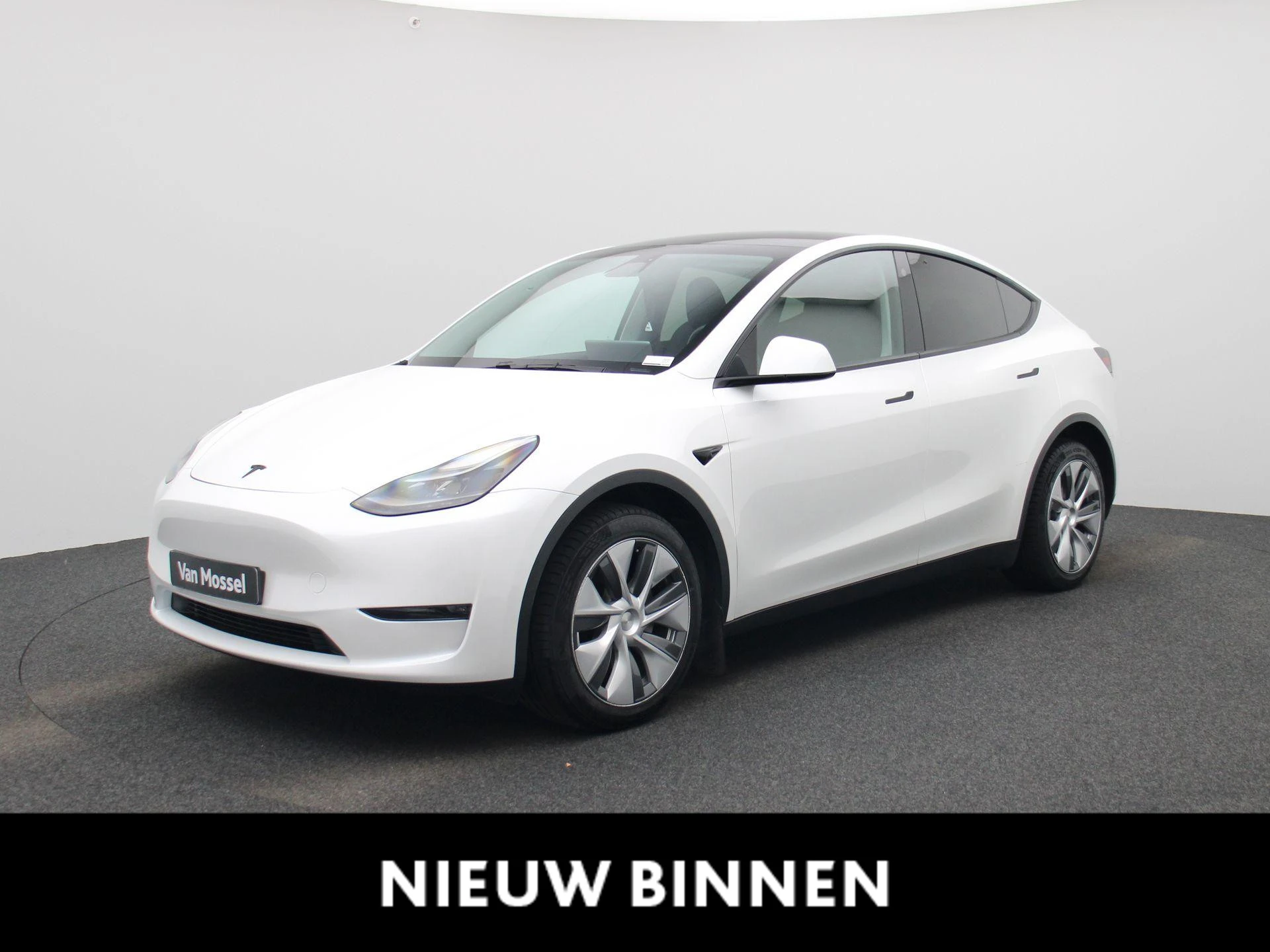 Tesla-Model Y-image-0
