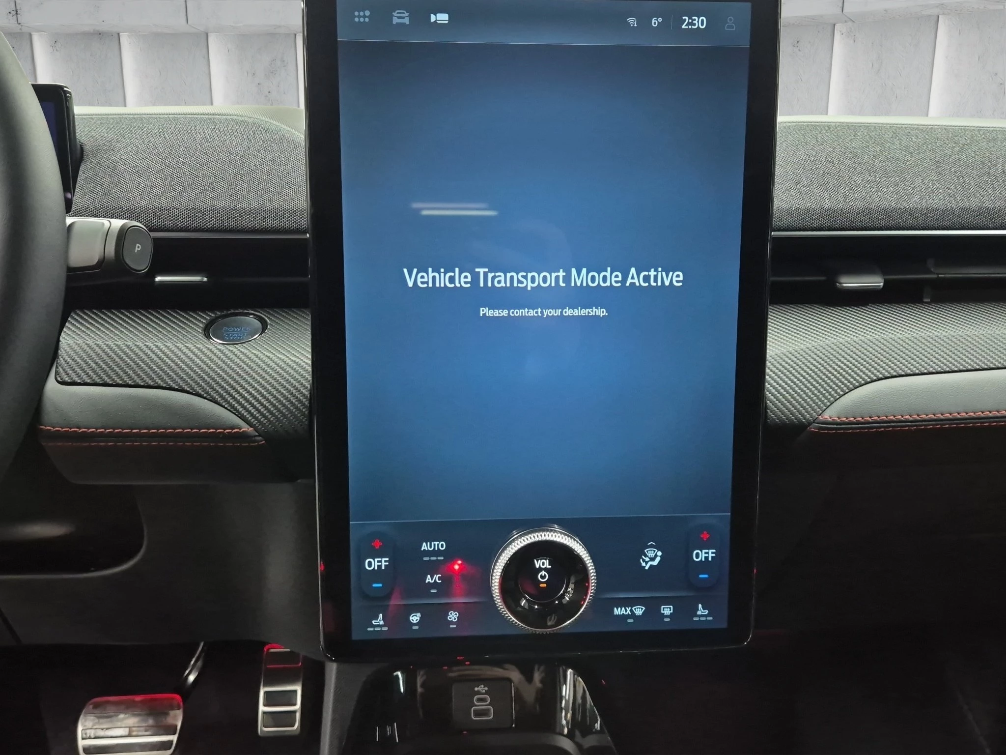 Ford-Mustang Mach-E-image-14