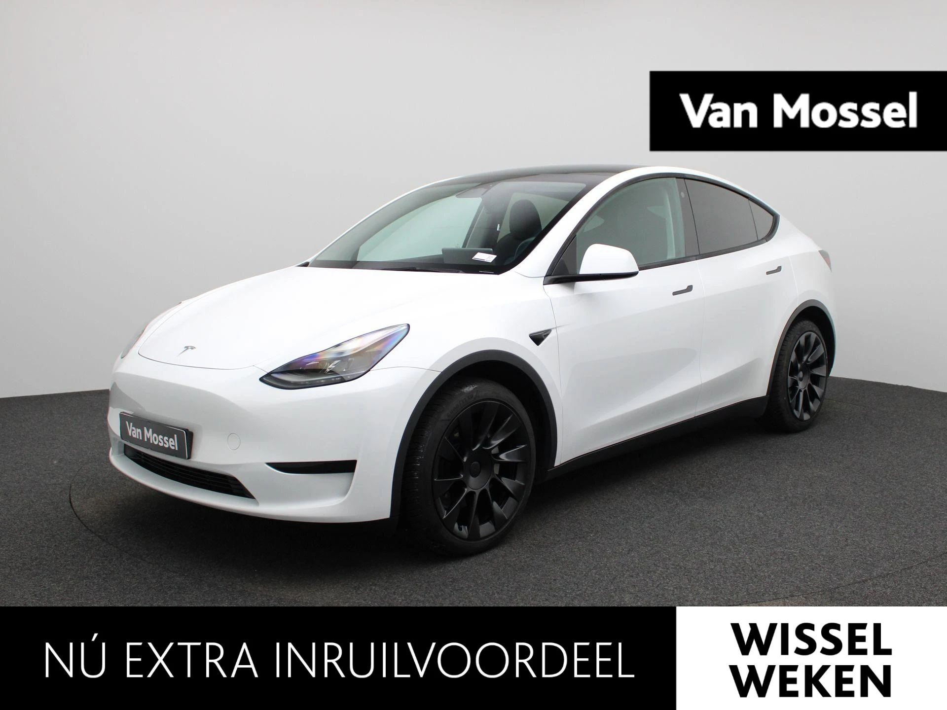 Tesla-Model Y-image-0