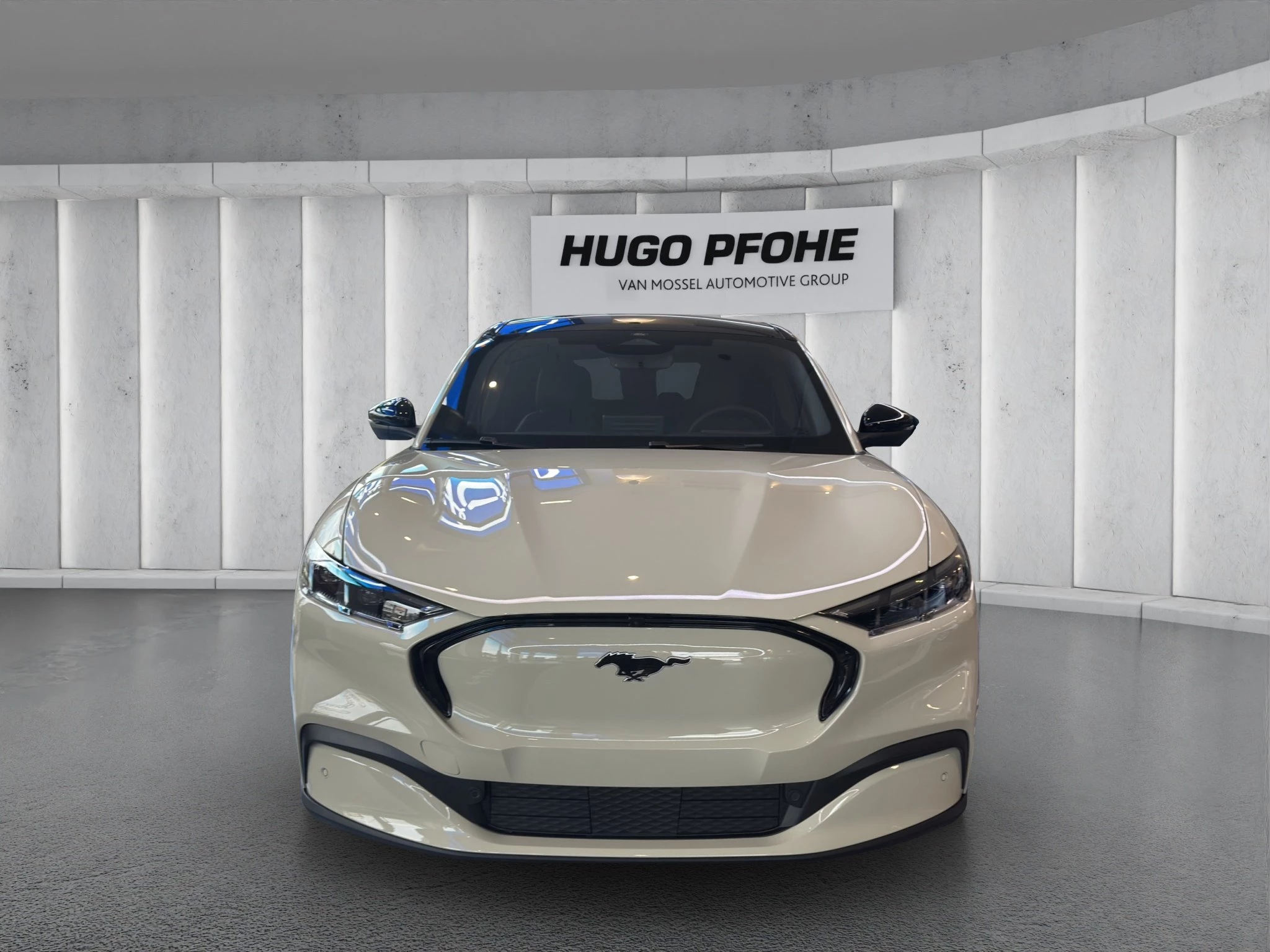 Ford-Mustang Mach-E-image-5