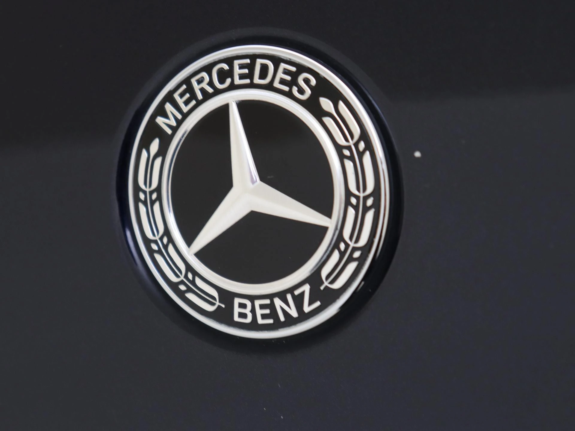 Mercedes-Benz-EQC-image-29