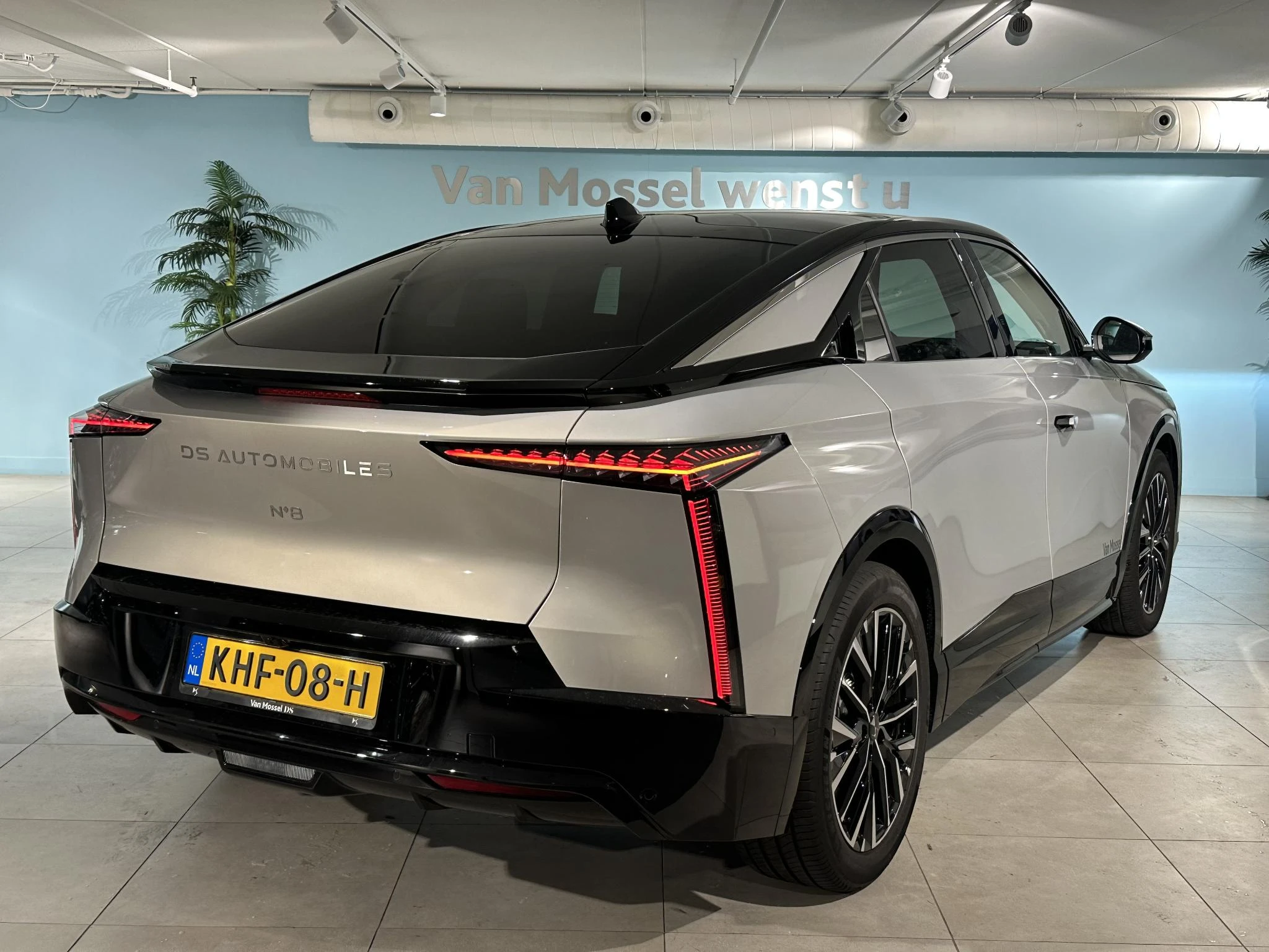 DS-No 8-image-5