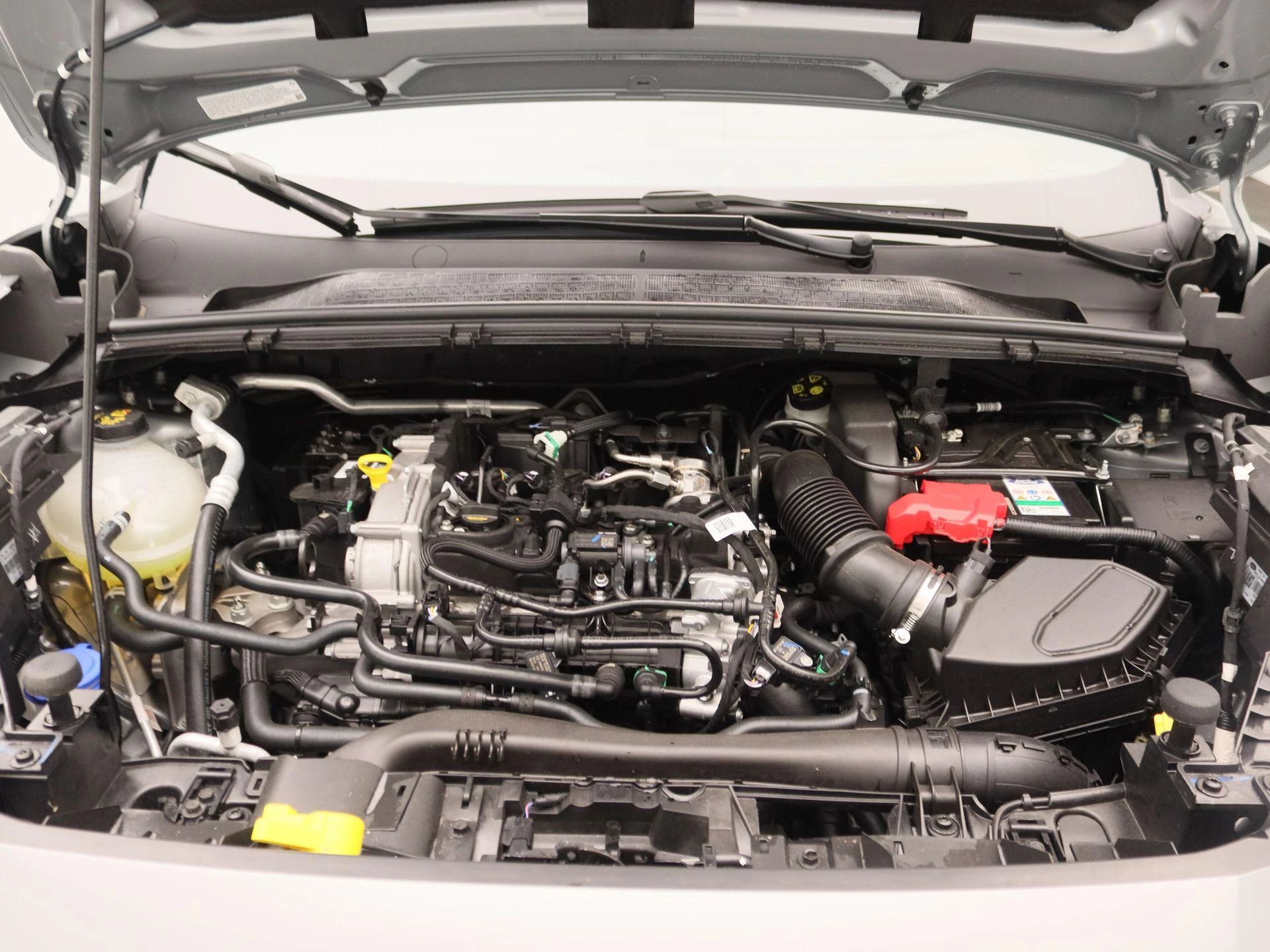 Ford-Puma-image-24