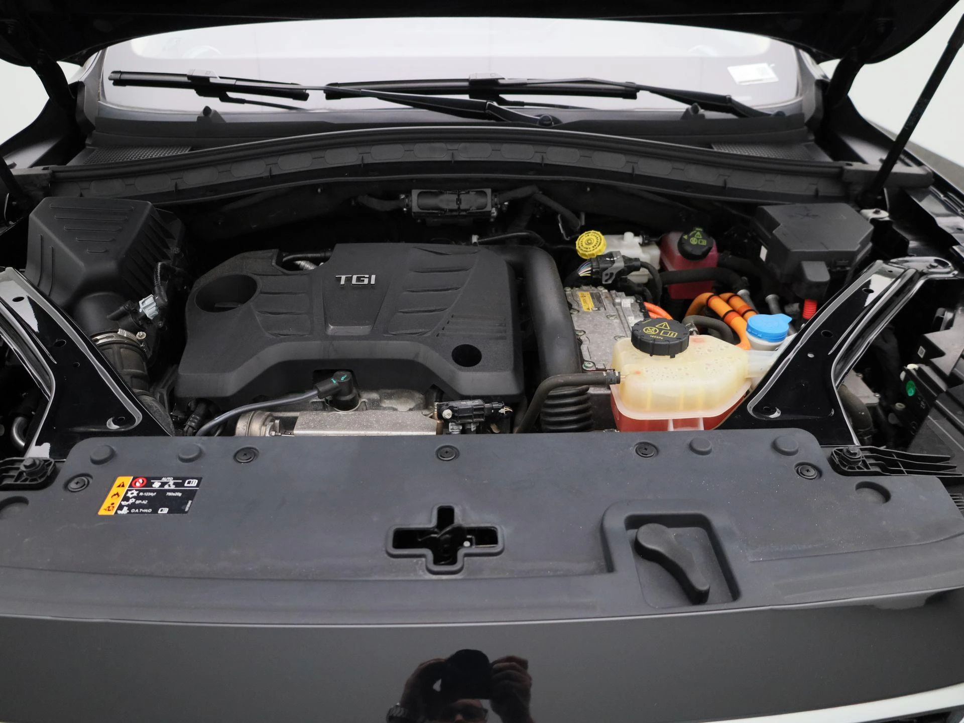 MG-EHS-image-33