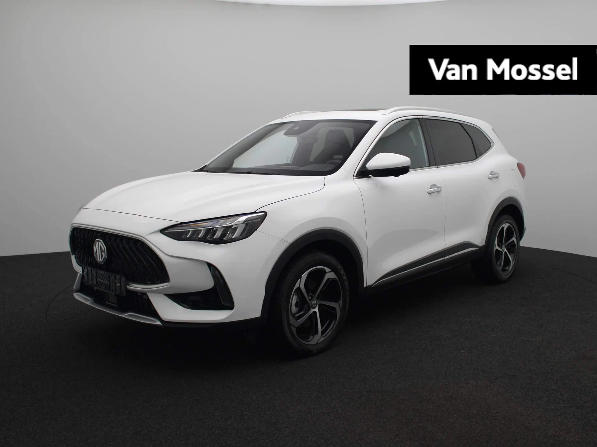 MG-EHS-image-0