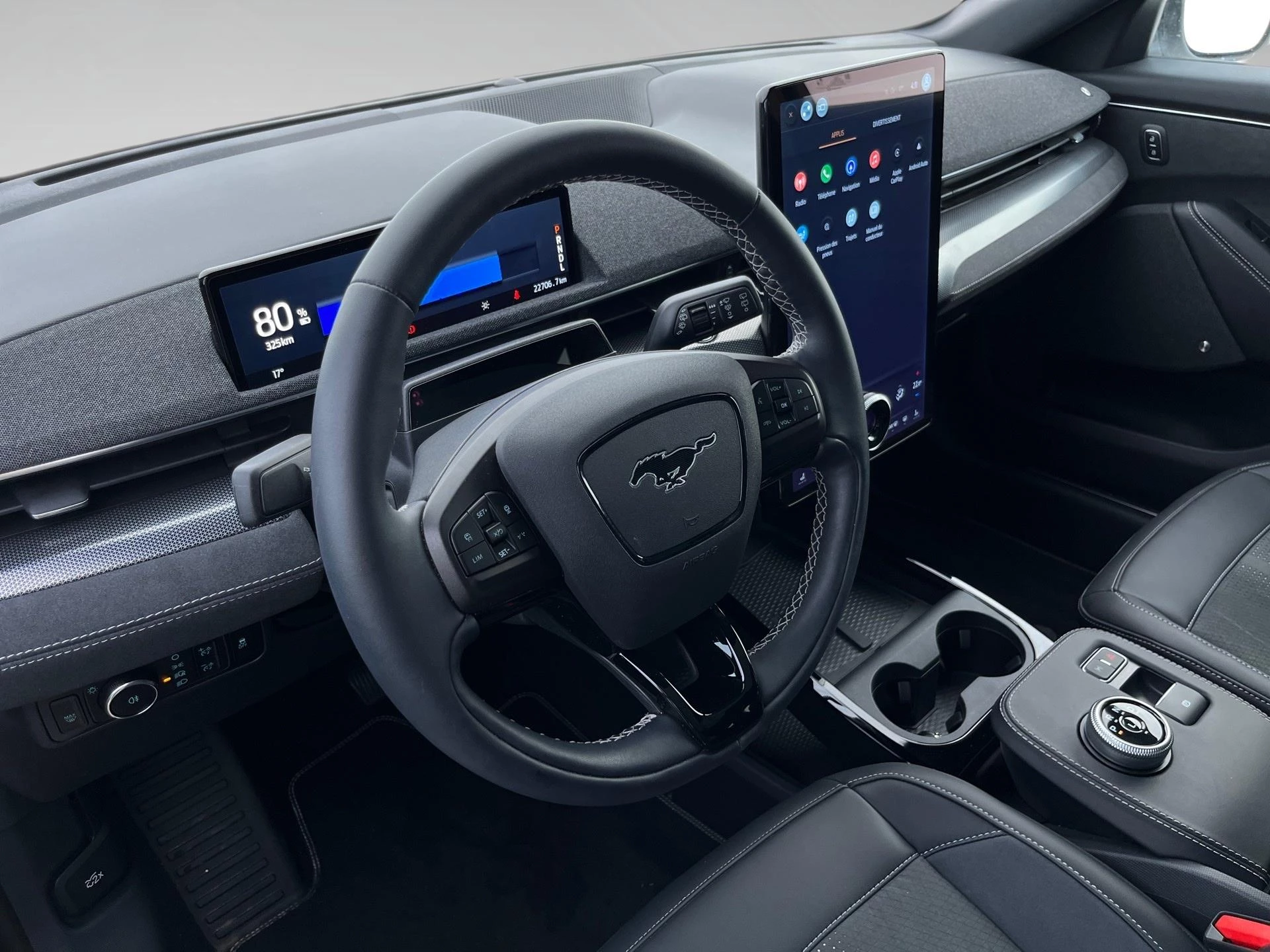 Ford-Mustang Mach-E-image-10