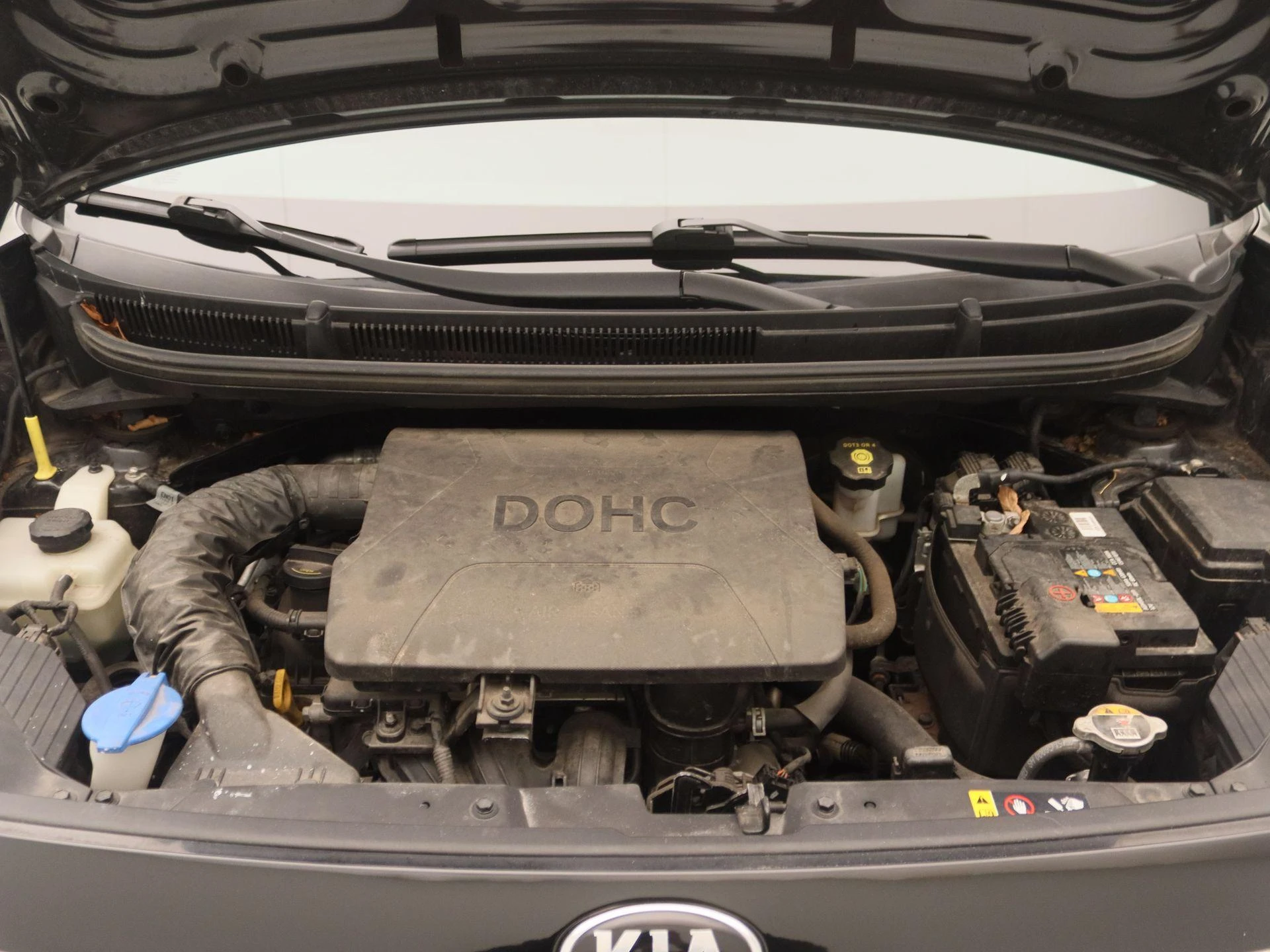 Kia-Picanto-image-24