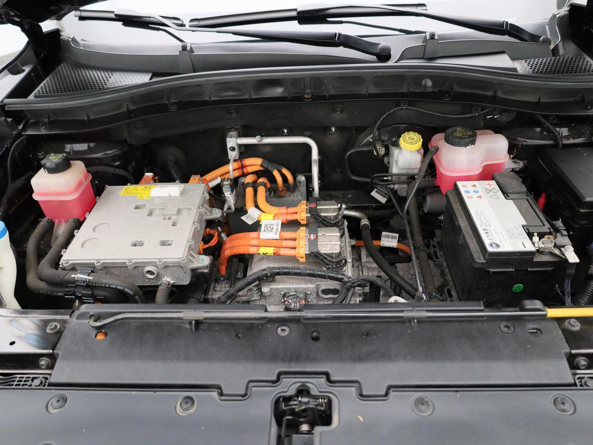 MG-ZS EV-image-29