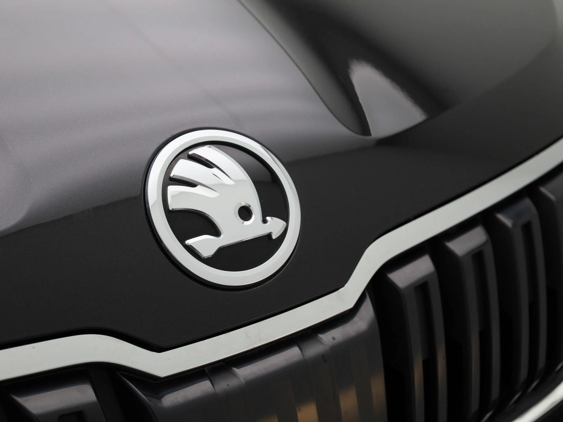 Škoda-Karoq-image-35
