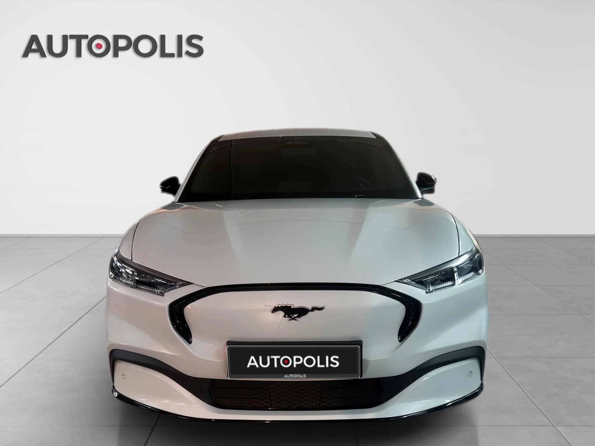 Ford-Mustang Mach-E-image-13