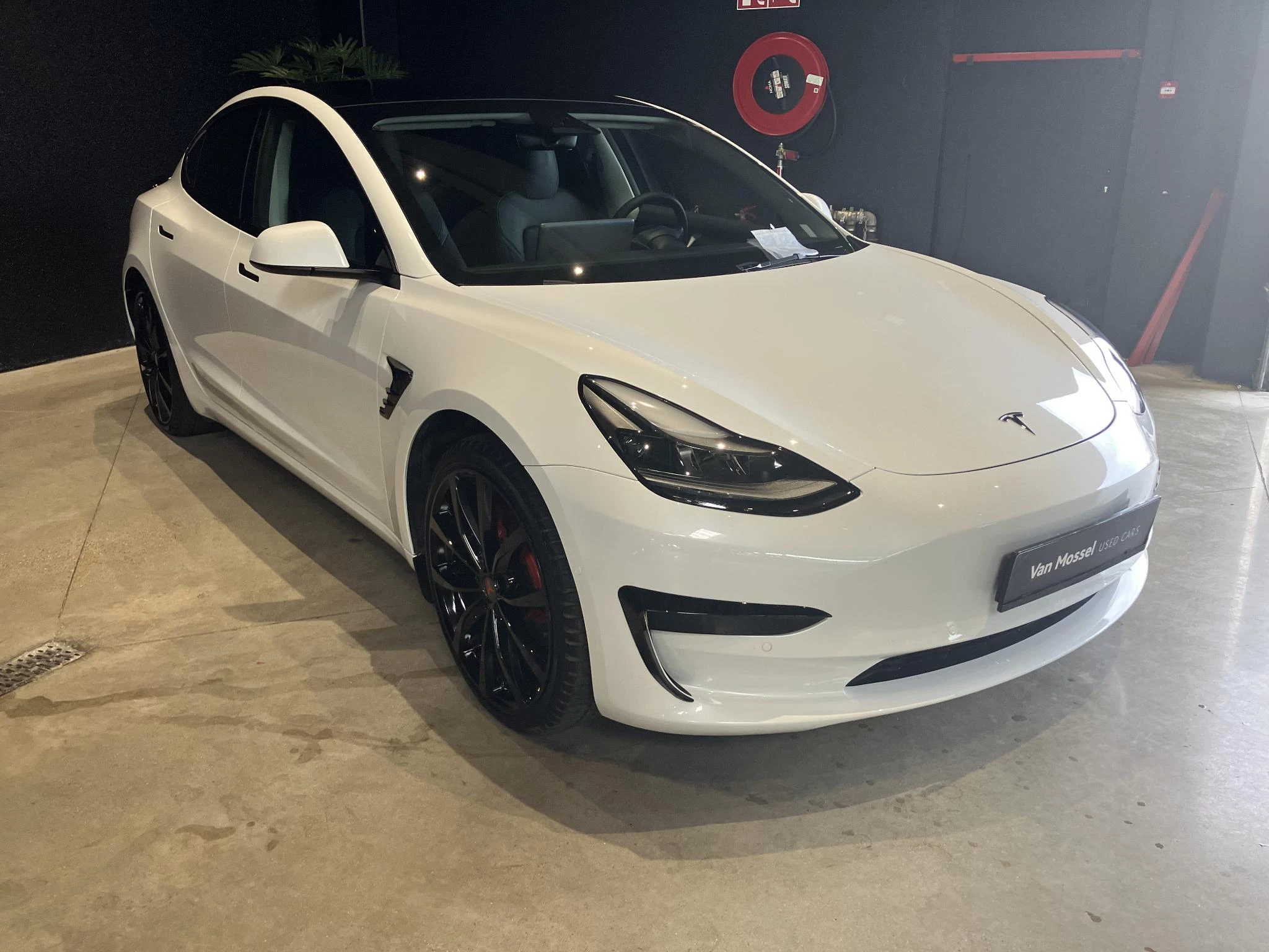 Tesla Model 3 Standard RWD Plus