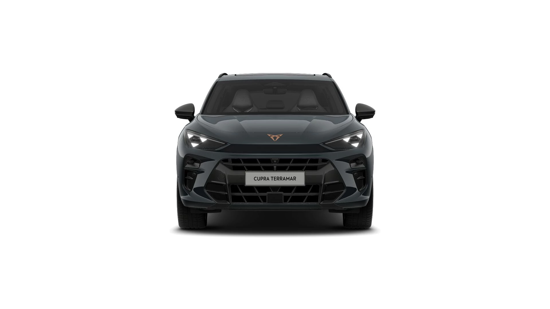 CUPRA Terramar Business