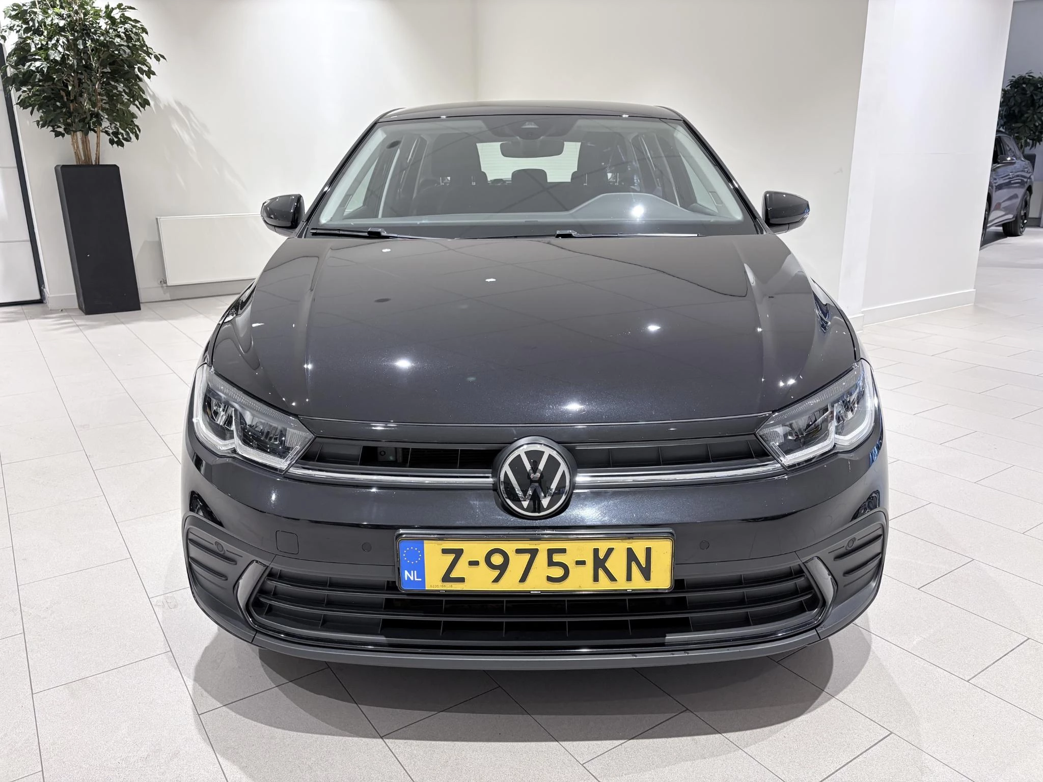 Volkswagen-Polo-image-6