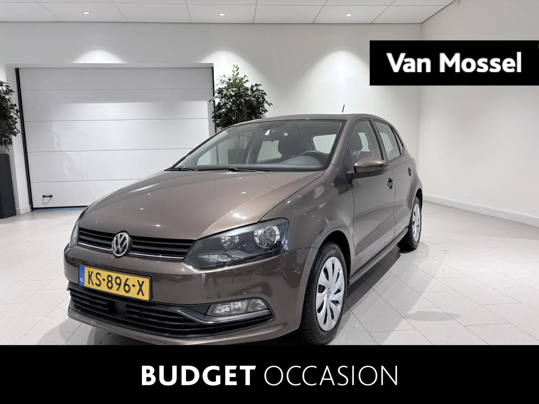 Volkswagen-Polo-image-0
