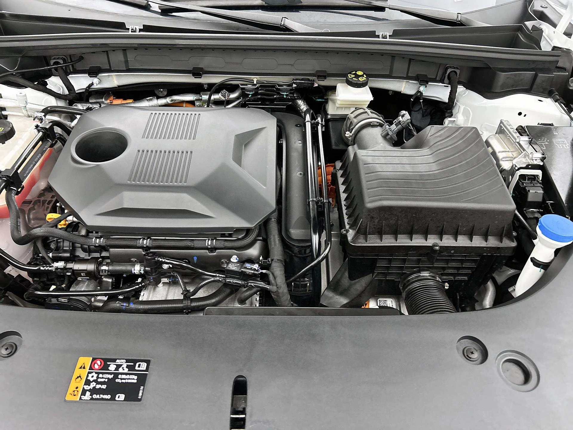MG-HS-image-39