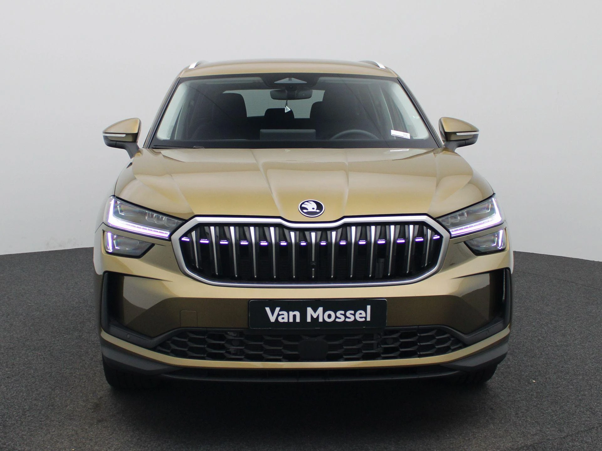 Škoda-Kodiaq-image-2