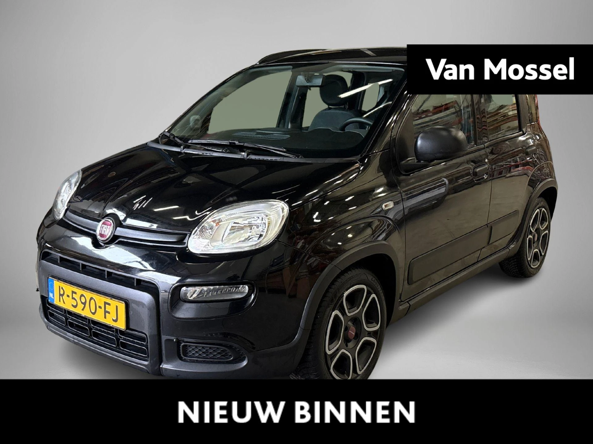 Fiat-Panda-image-0
