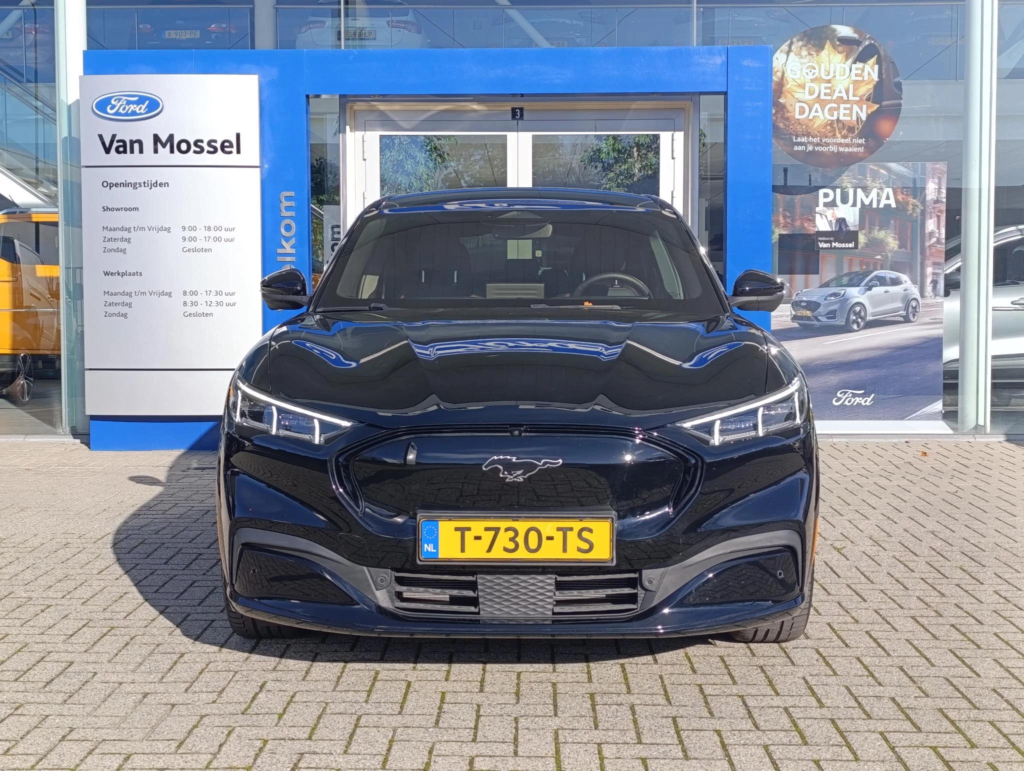 Ford-Mustang Mach-E-image-2