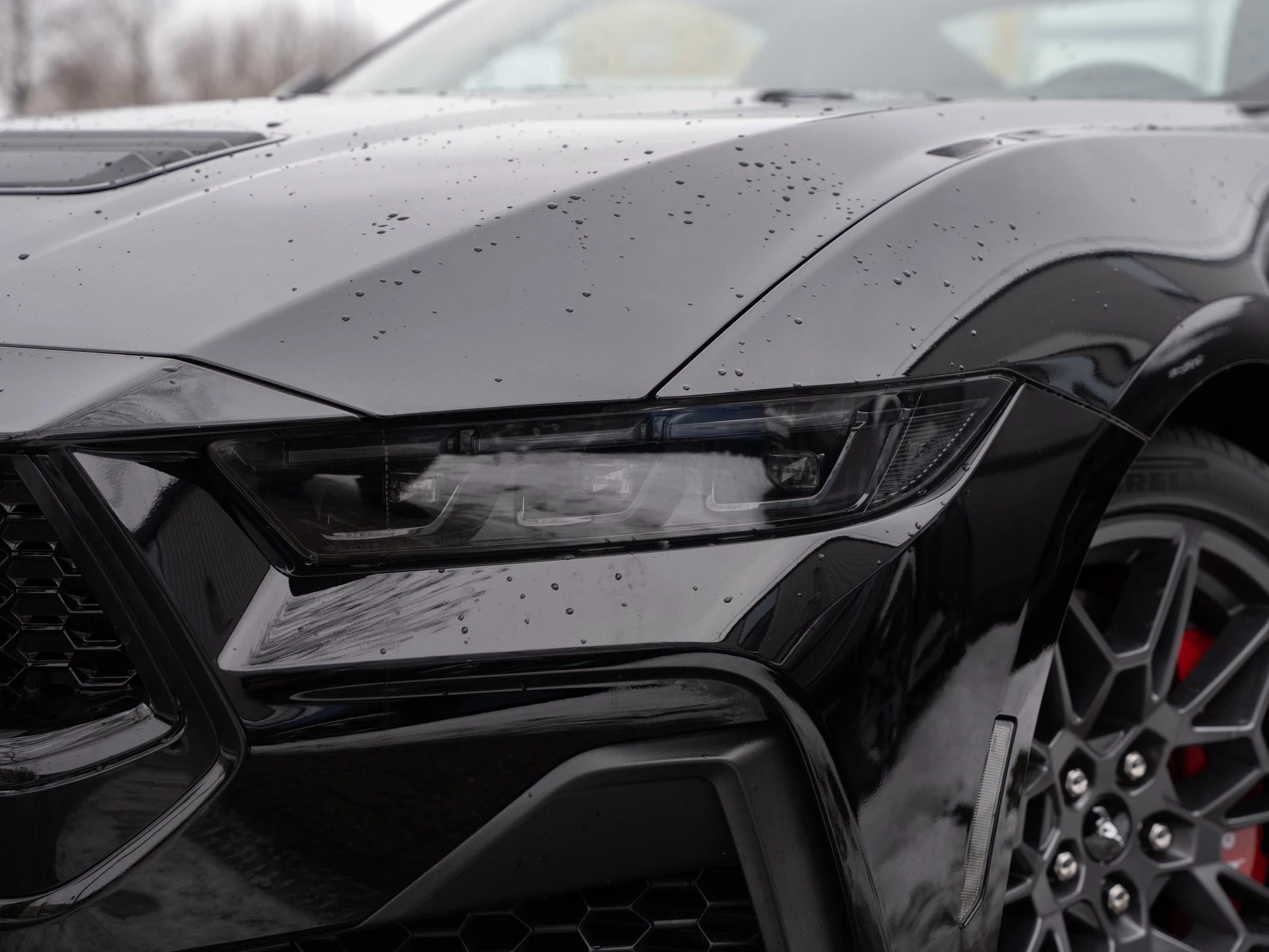 Ford Mustang GT Fastback V8 5.0 l