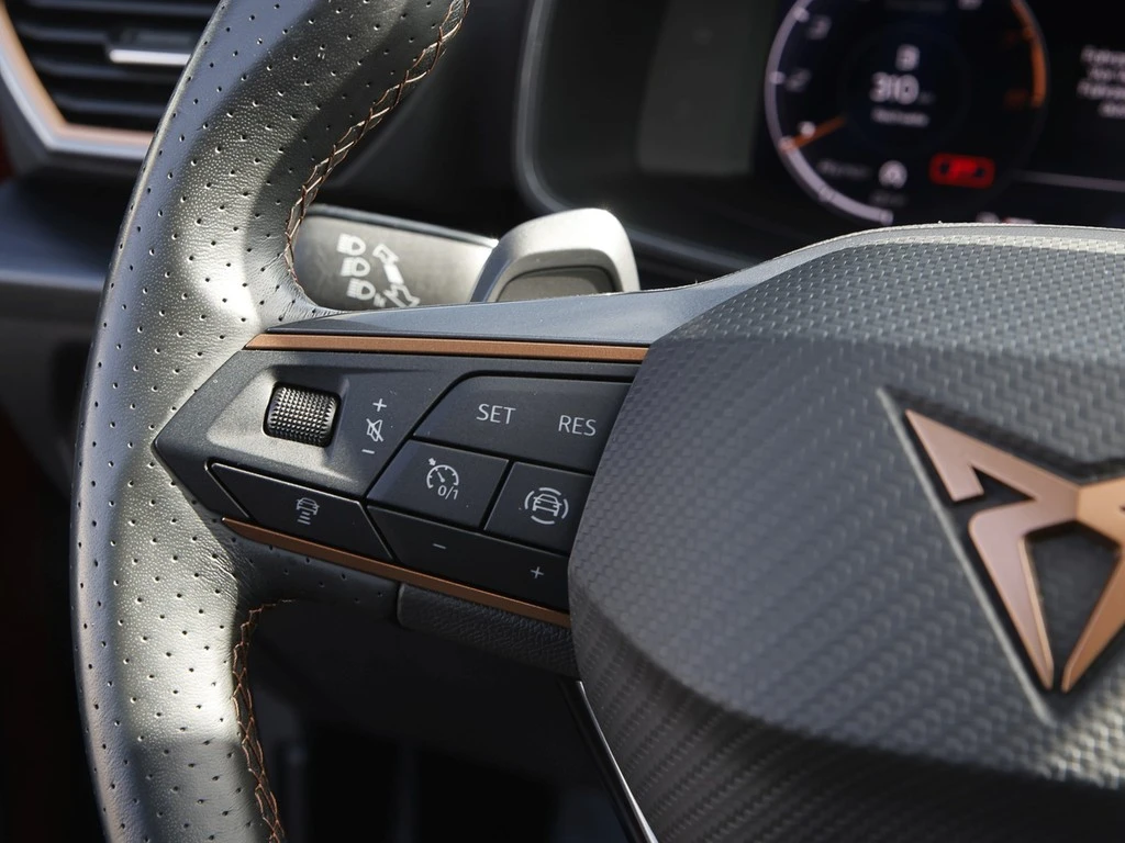 CUPRA Formentor 1.5 TSI DSG AHK/Navi/RFK